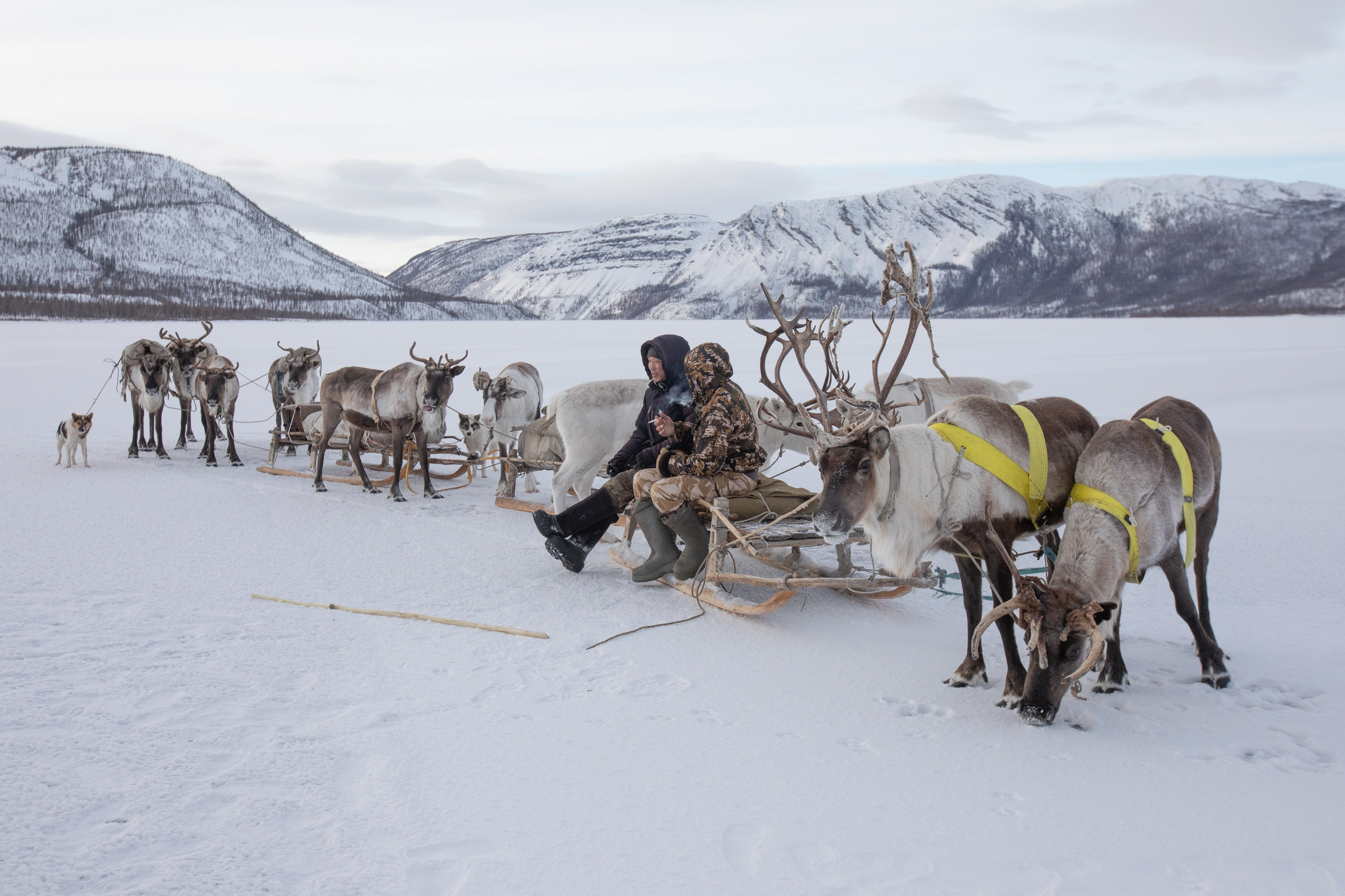Не забудь накормить озеро. Natalya Madilyan