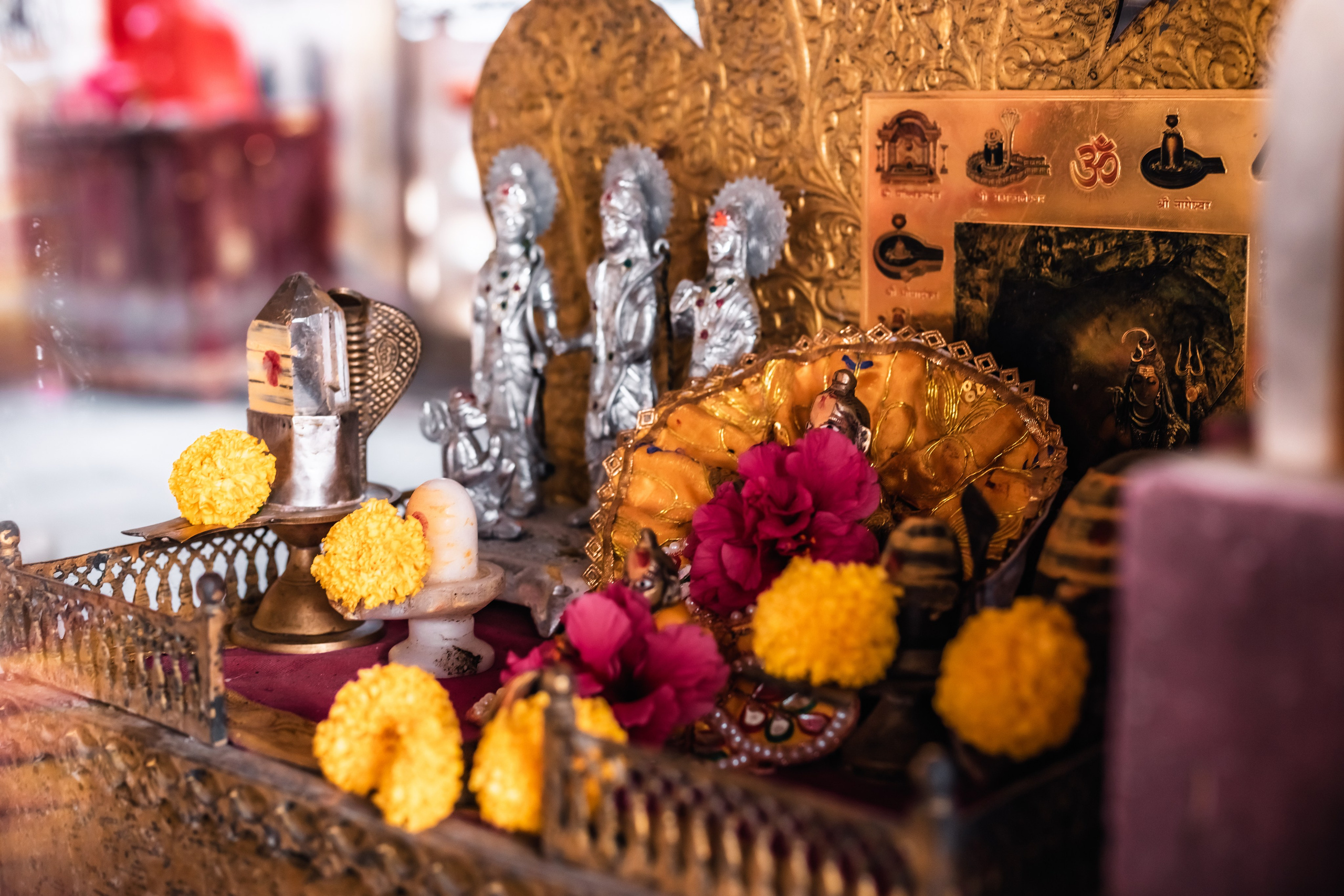 Devraha baba ji ashram life 2025. Mariam Bagdasaryan