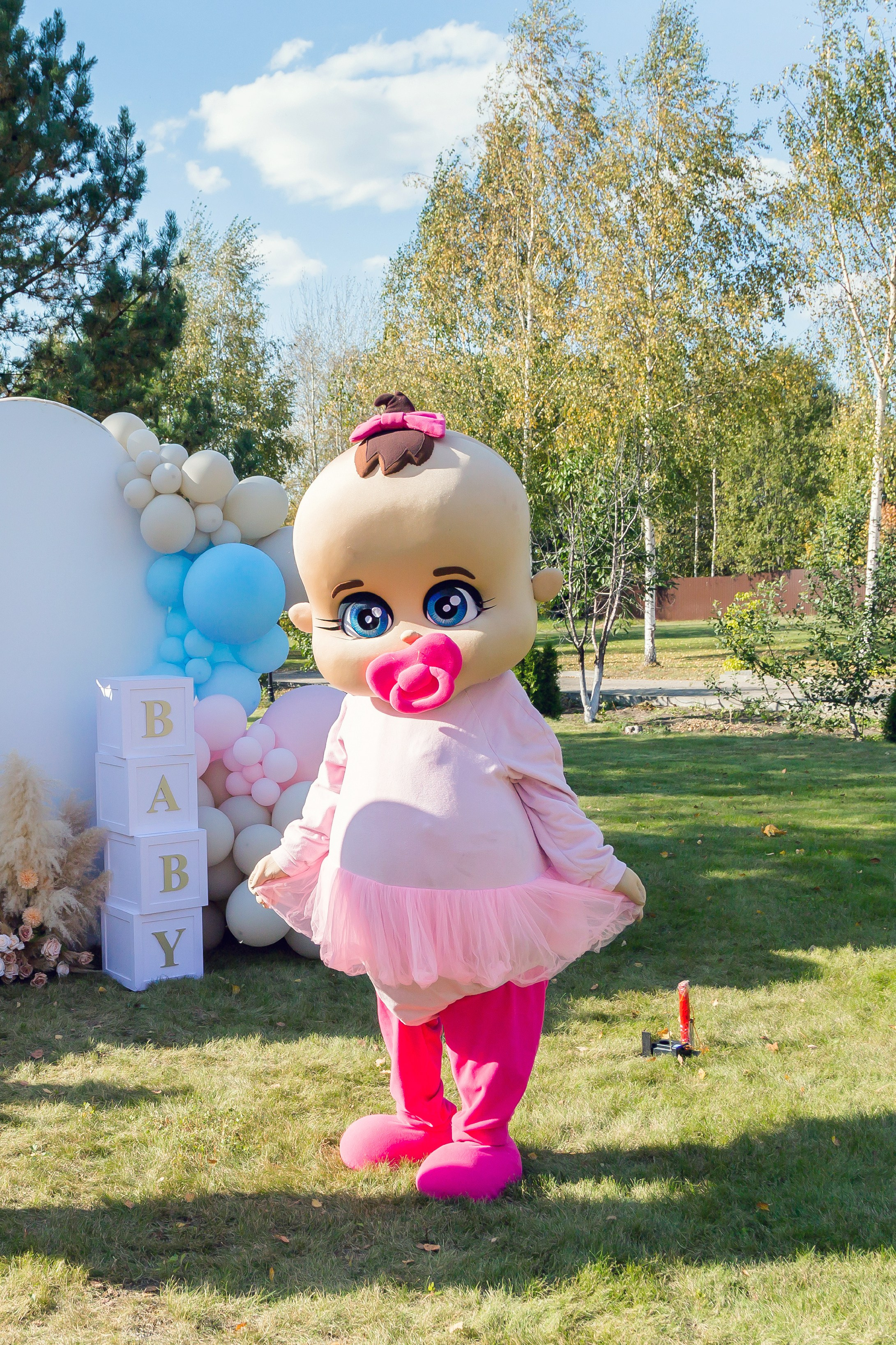 Gender party. Семейный фотограф в Иваново Ирина Кузнецова