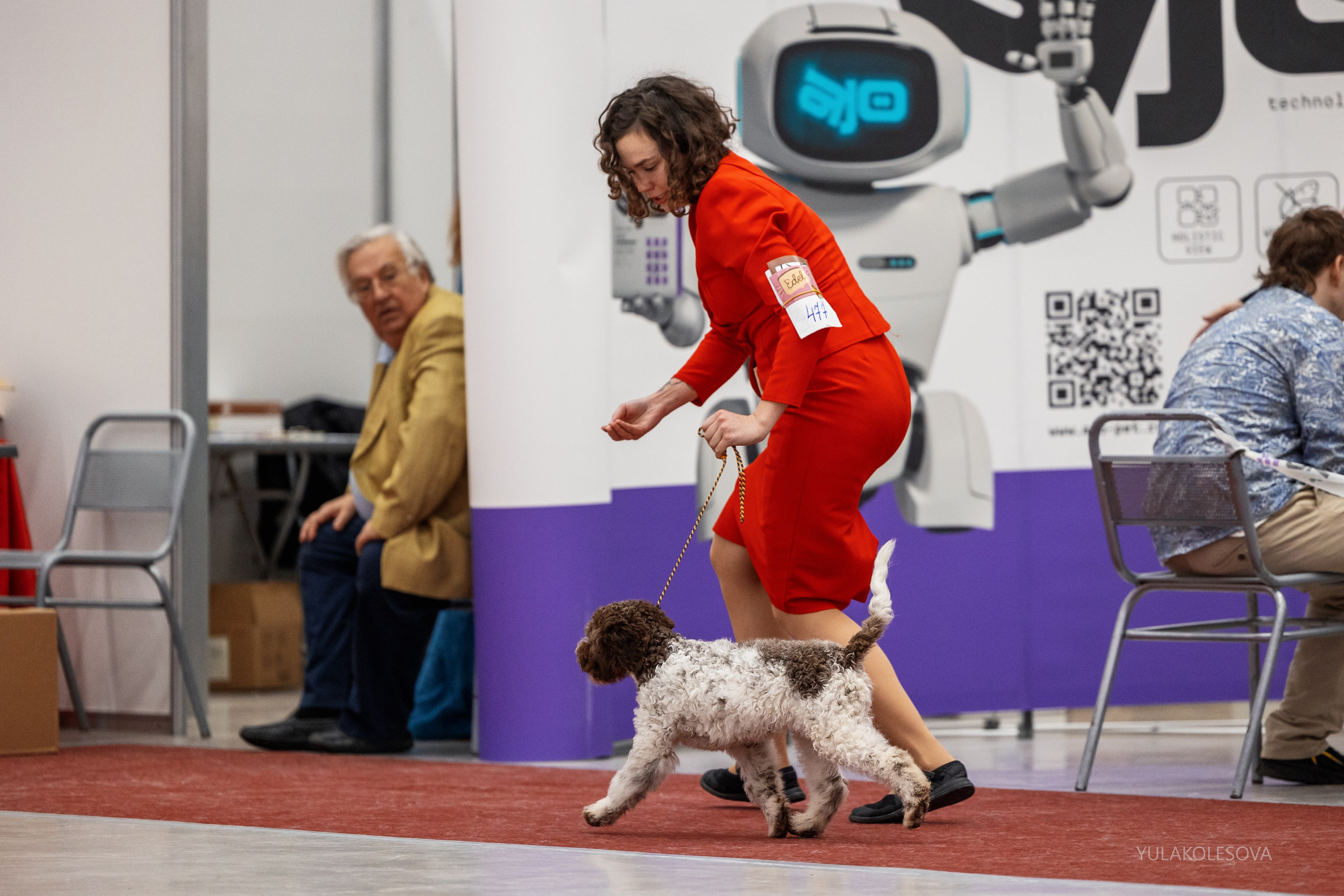 14.12.2024 Выставка собак всех пород «Кубок Дружбы — 2024». YULA KOLESOVA | Фотограф — Анималист | Художник | Тюмень