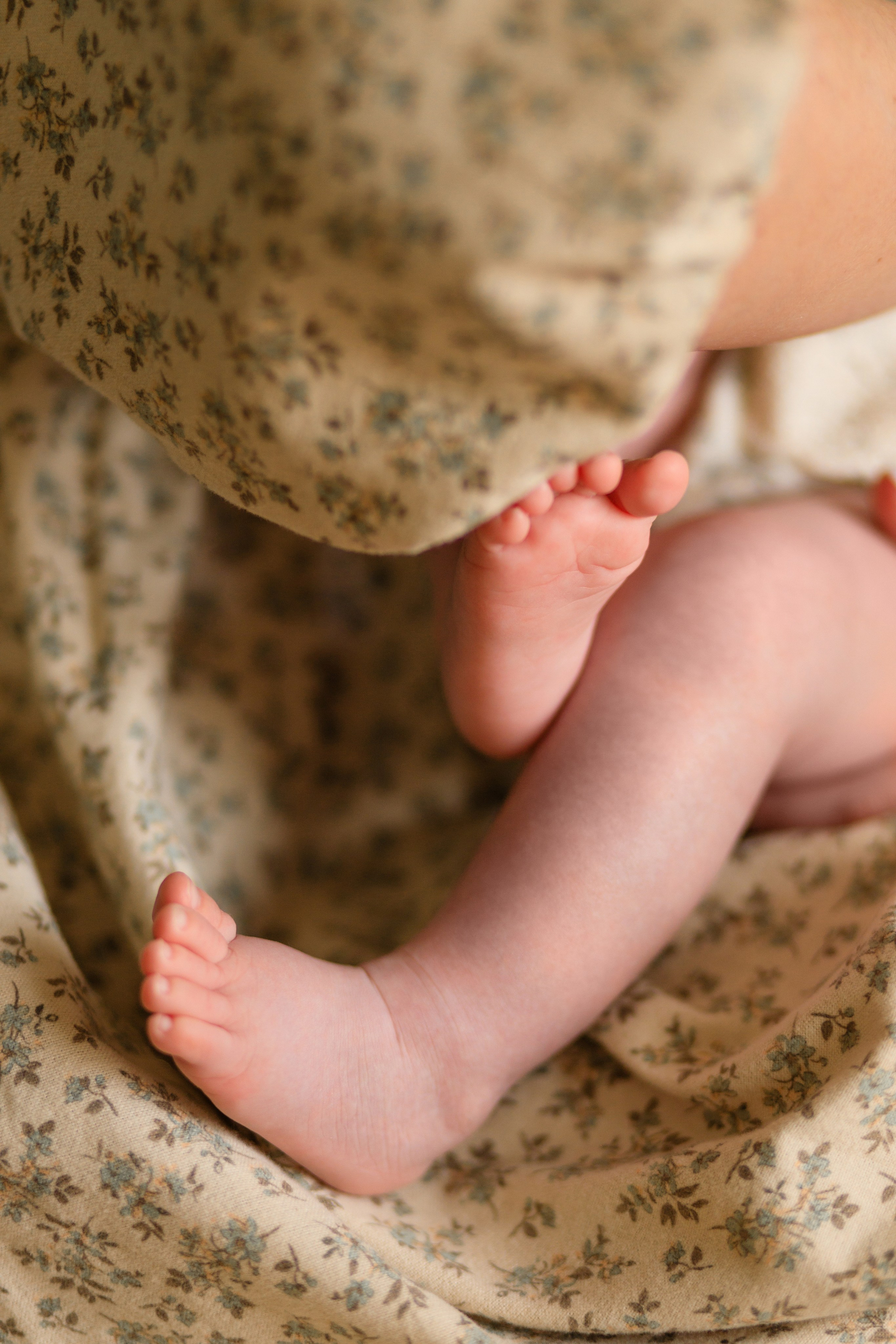 Екатерина, Иван и Варвара. Семейный и детский фотограф в Краснодаре Элона Литвинова