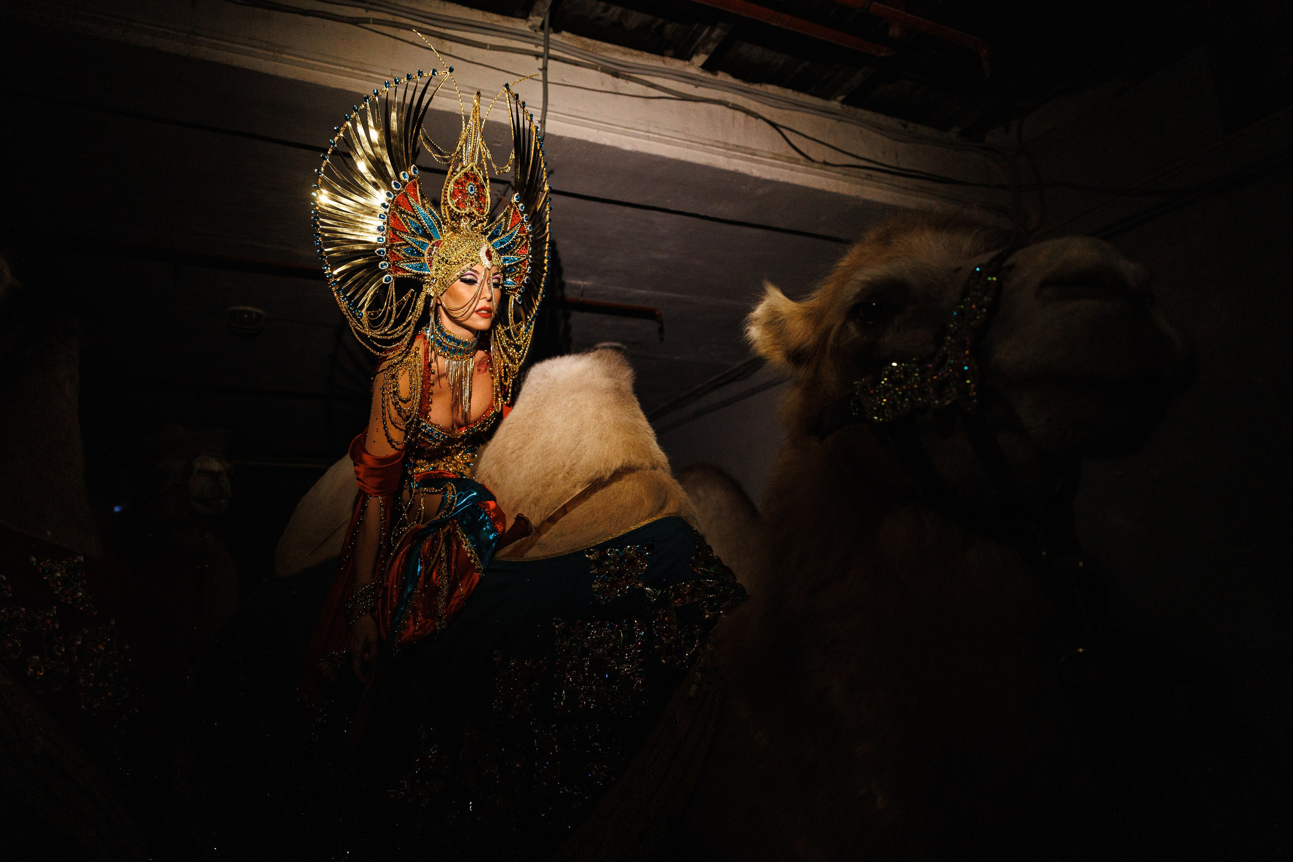 Цирк «Песчаная Сказка». Фотограф Ставрополь Петр Голубенко