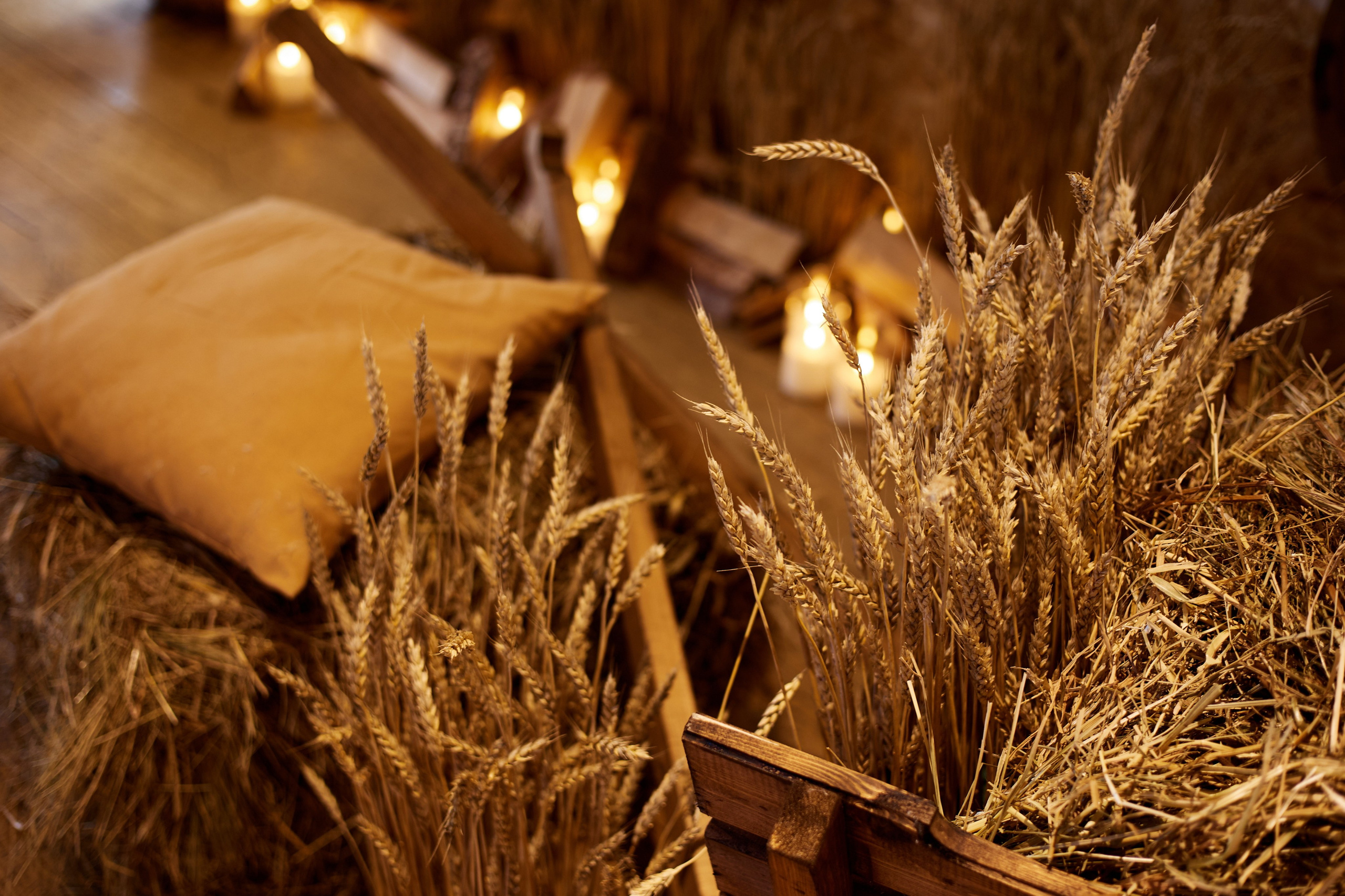 Smart Fest. Фотограф Георгий Нигматулин