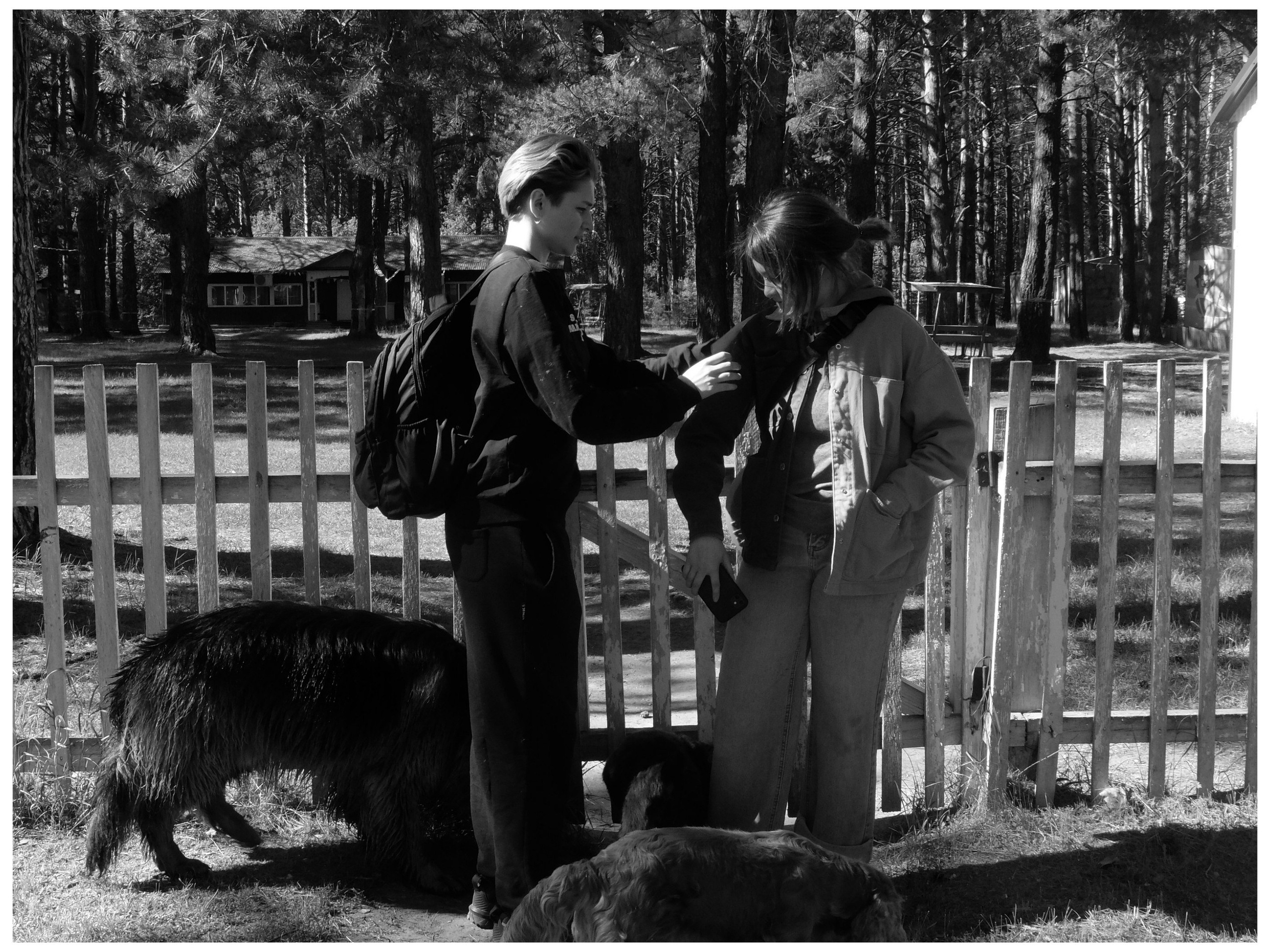 Промежуточные моменты (2022)