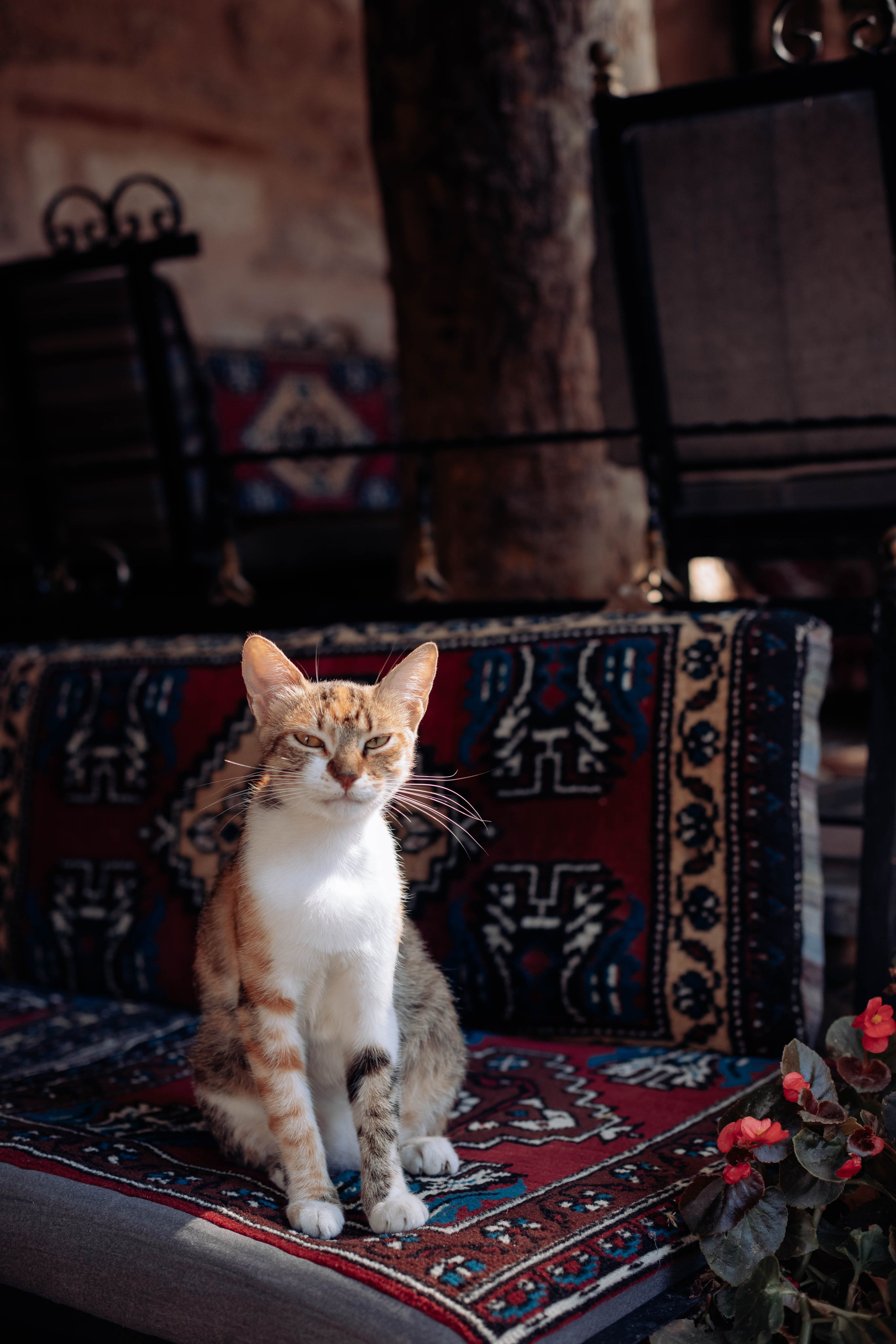 Istanbul. Katerina Spekhova