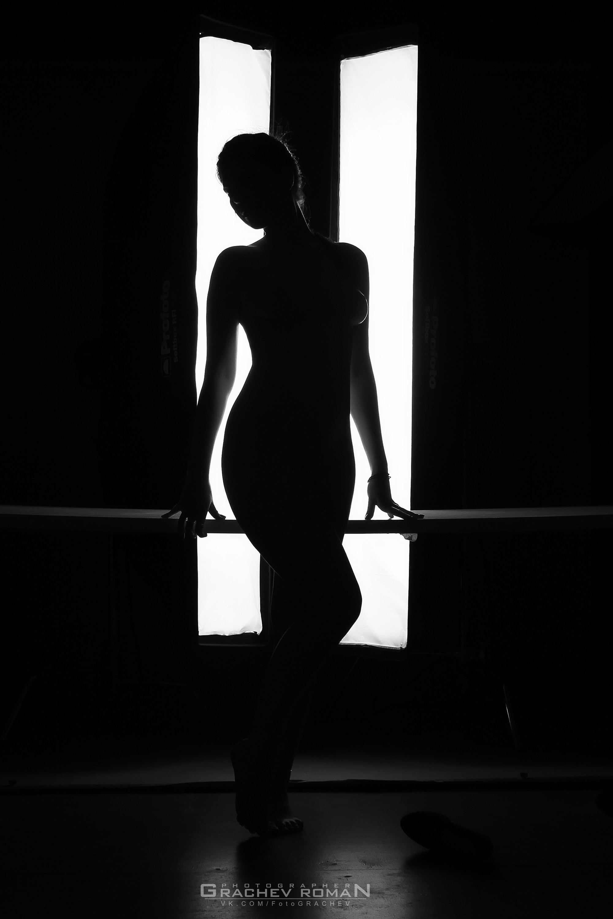 Ню. Фотография как стиль жизни!