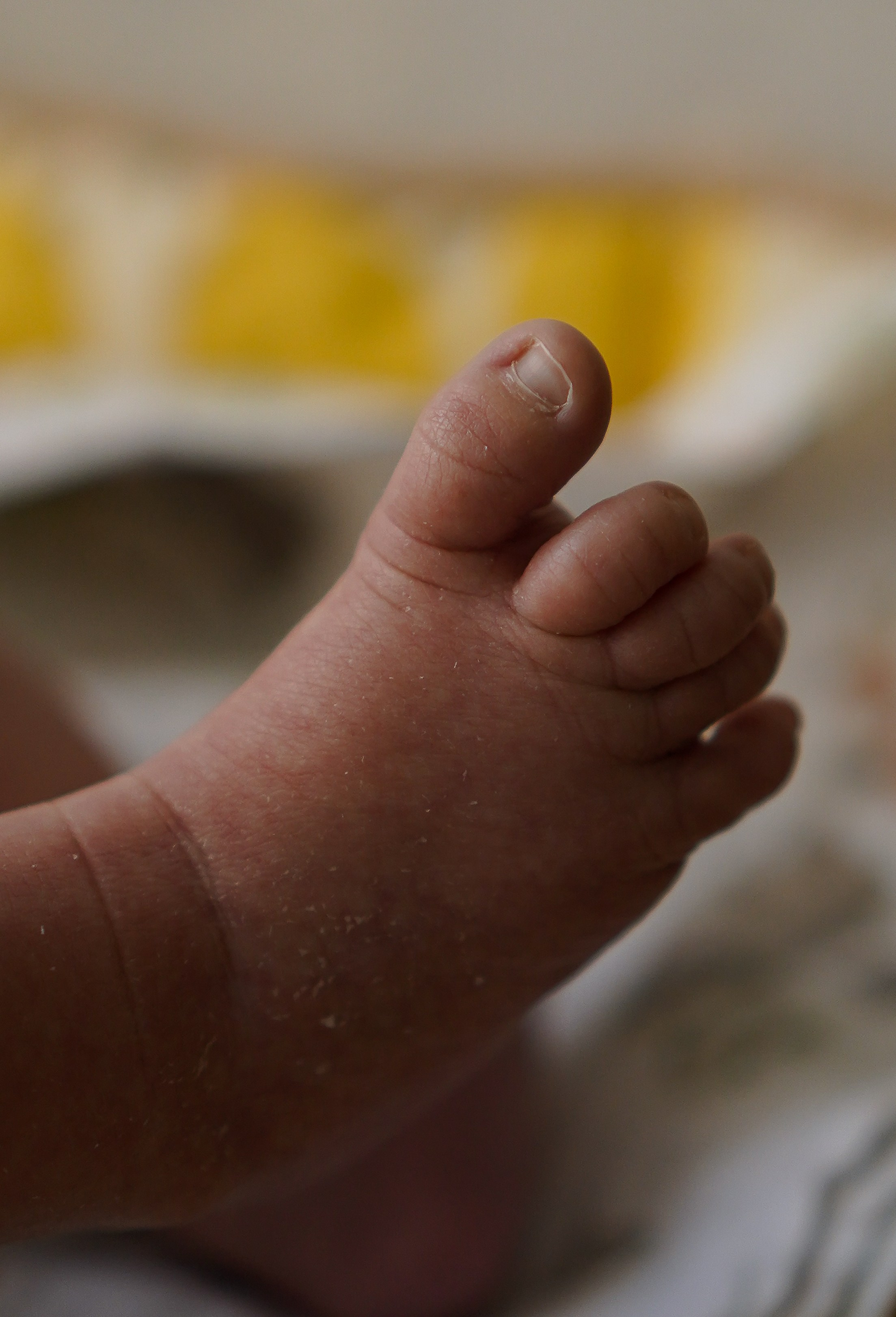 Федя, новенький на планете. Семейный фотограф в Москве Коровушкина Наталья. Съемка контента