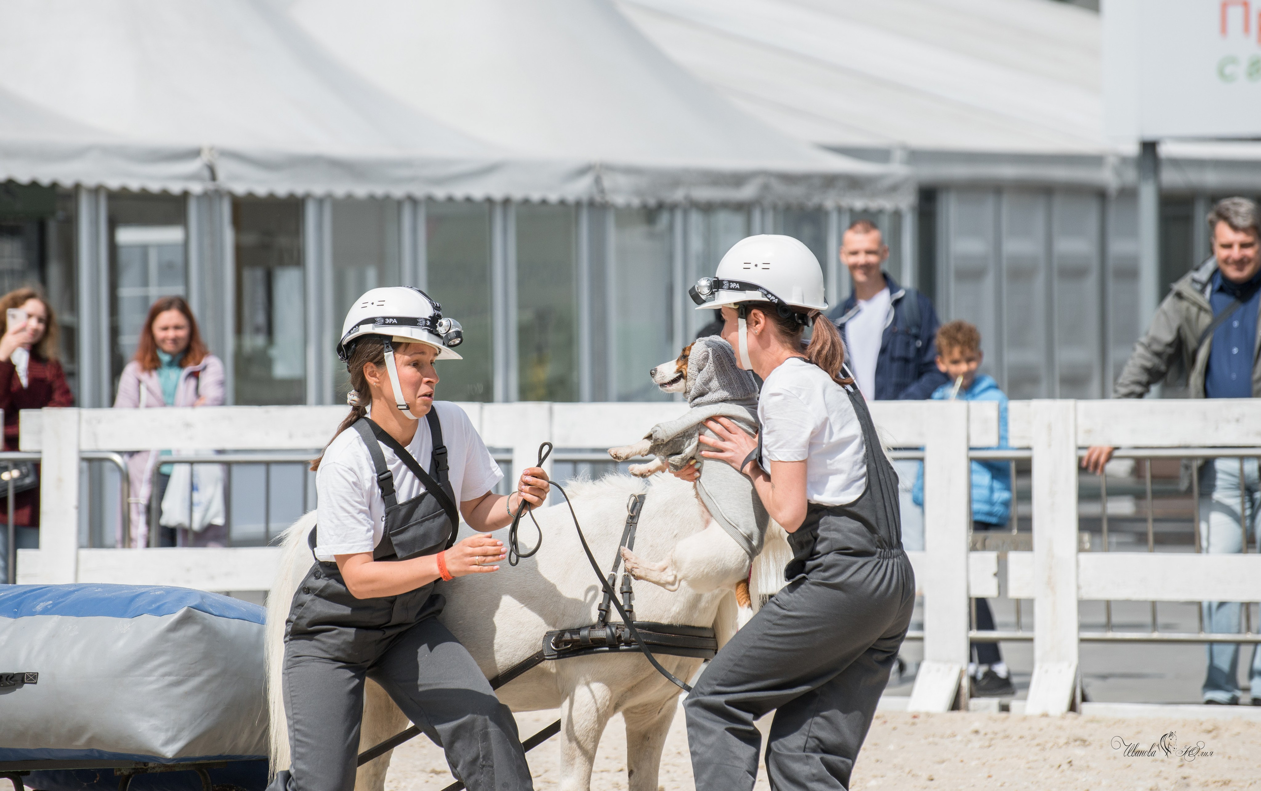 Эквирос, Москва. Конный фотограф в Саратове Юлия Иванова