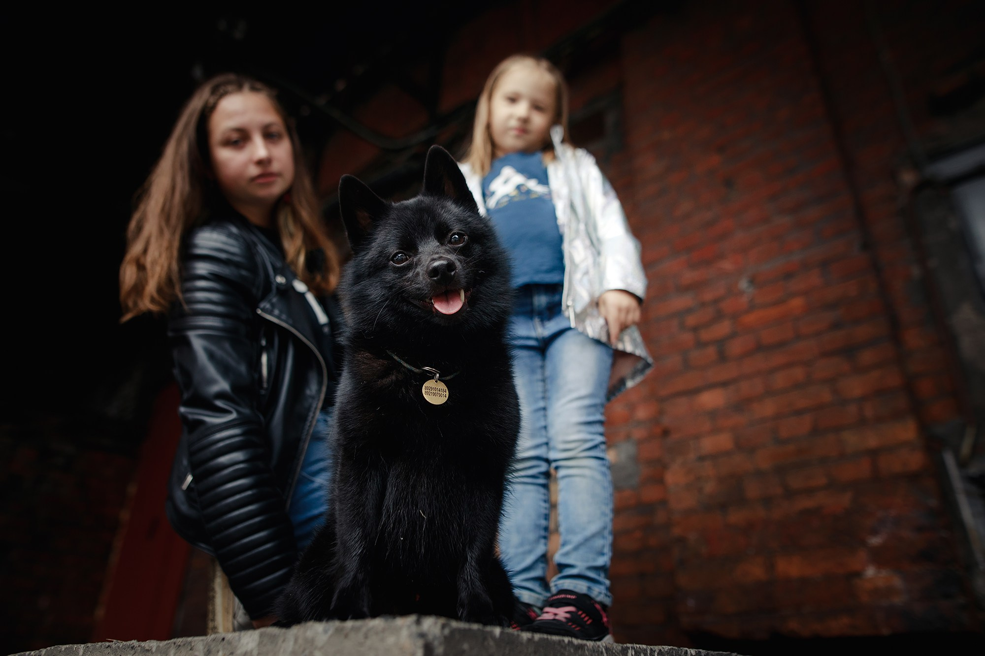 Саша, Маша и шипперке Йети. Фотограф-анималист Mary Mart — Москва, Питер