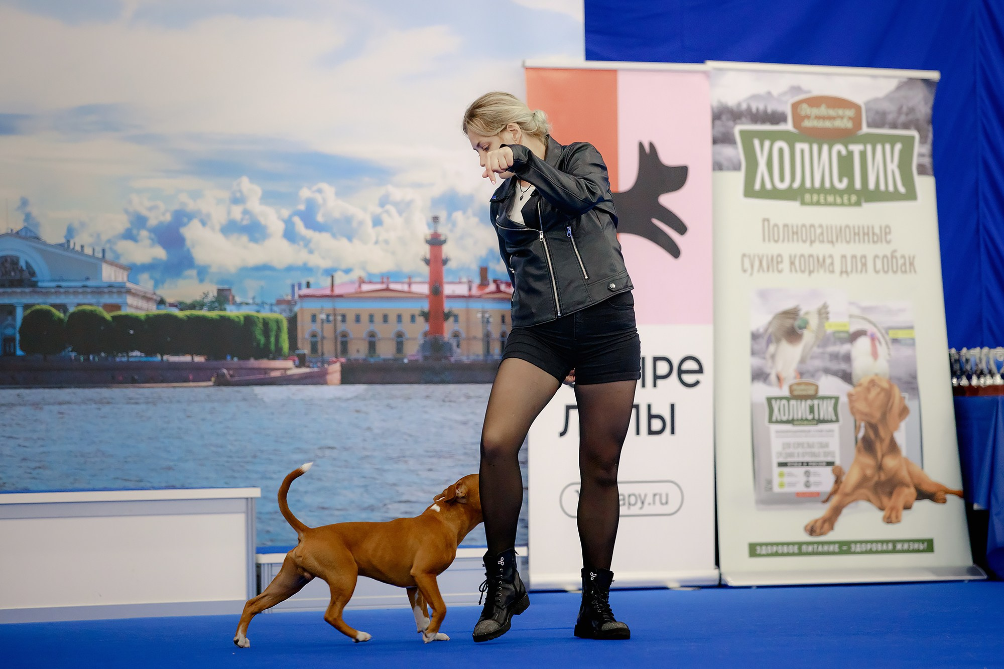 Танцы на выставке «Зоошоу», СПб. Фотограф-анималист Mary Mart — Москва, Питер