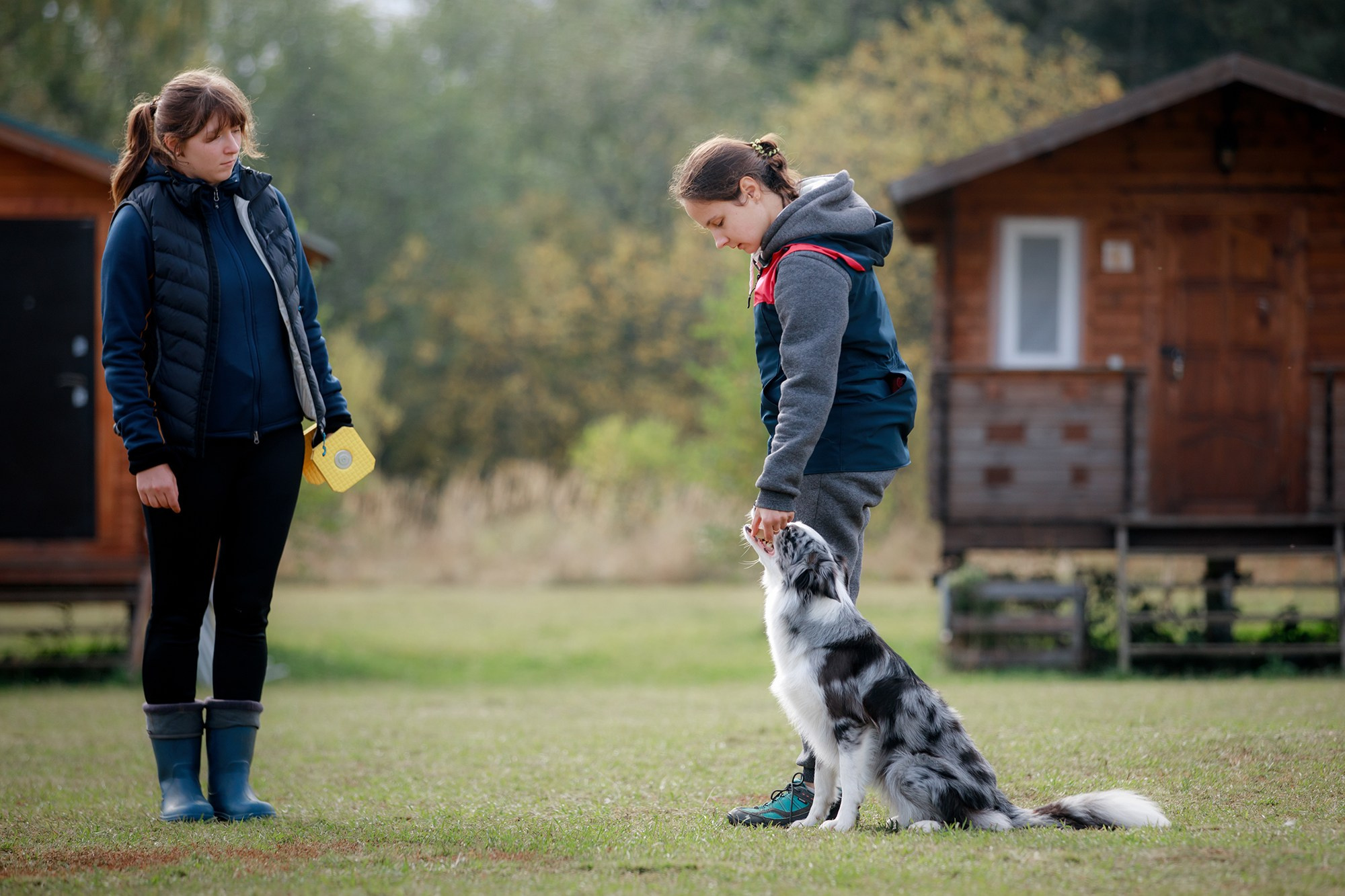 Лагерь по ОБД с Инной Баженовой. Фотограф-анималист Mary Mart — Москва, Питер