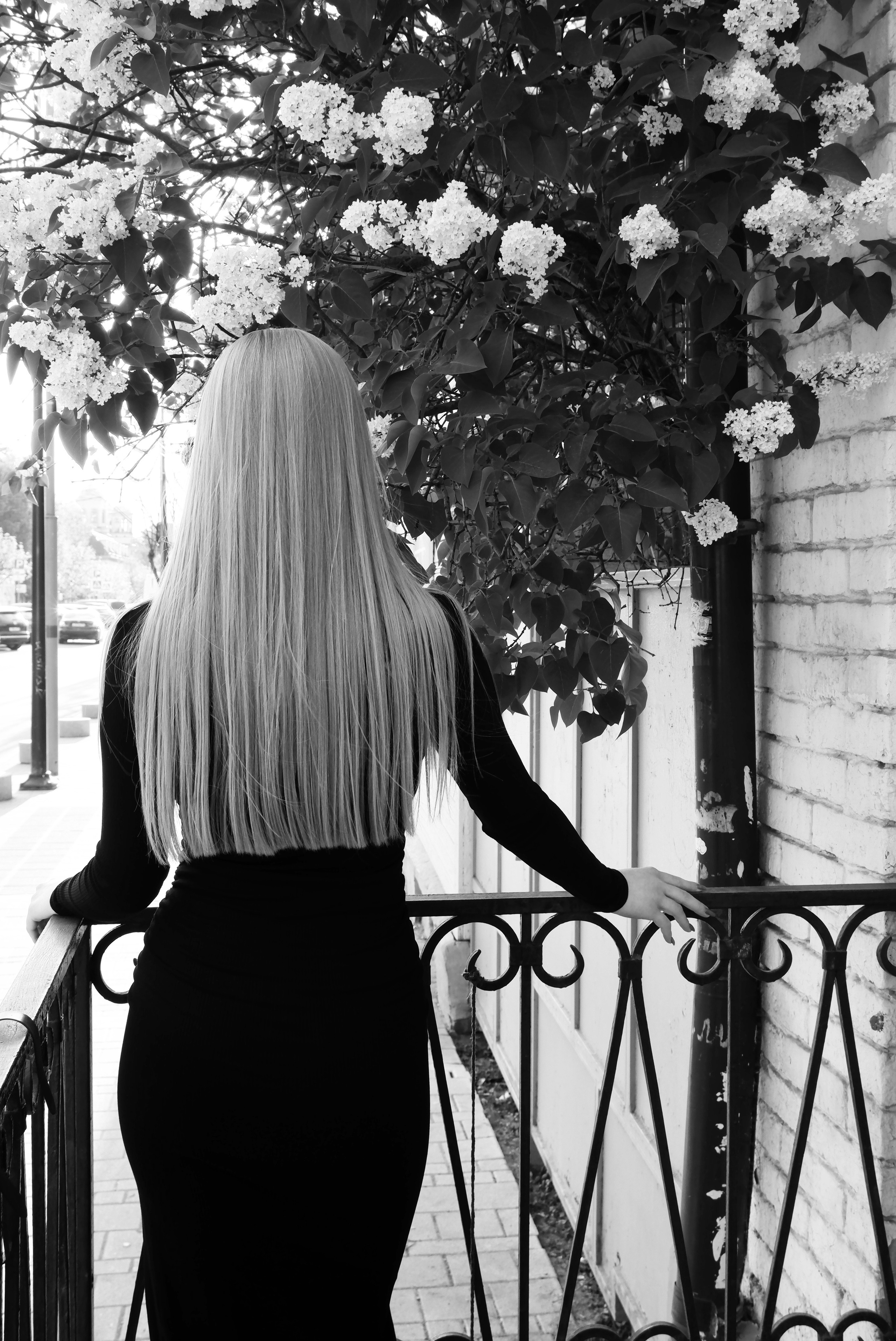 Нежная как роза. Прогулка с красавицей Ксюшей. Фотограф в Норильске Наташа Фаби