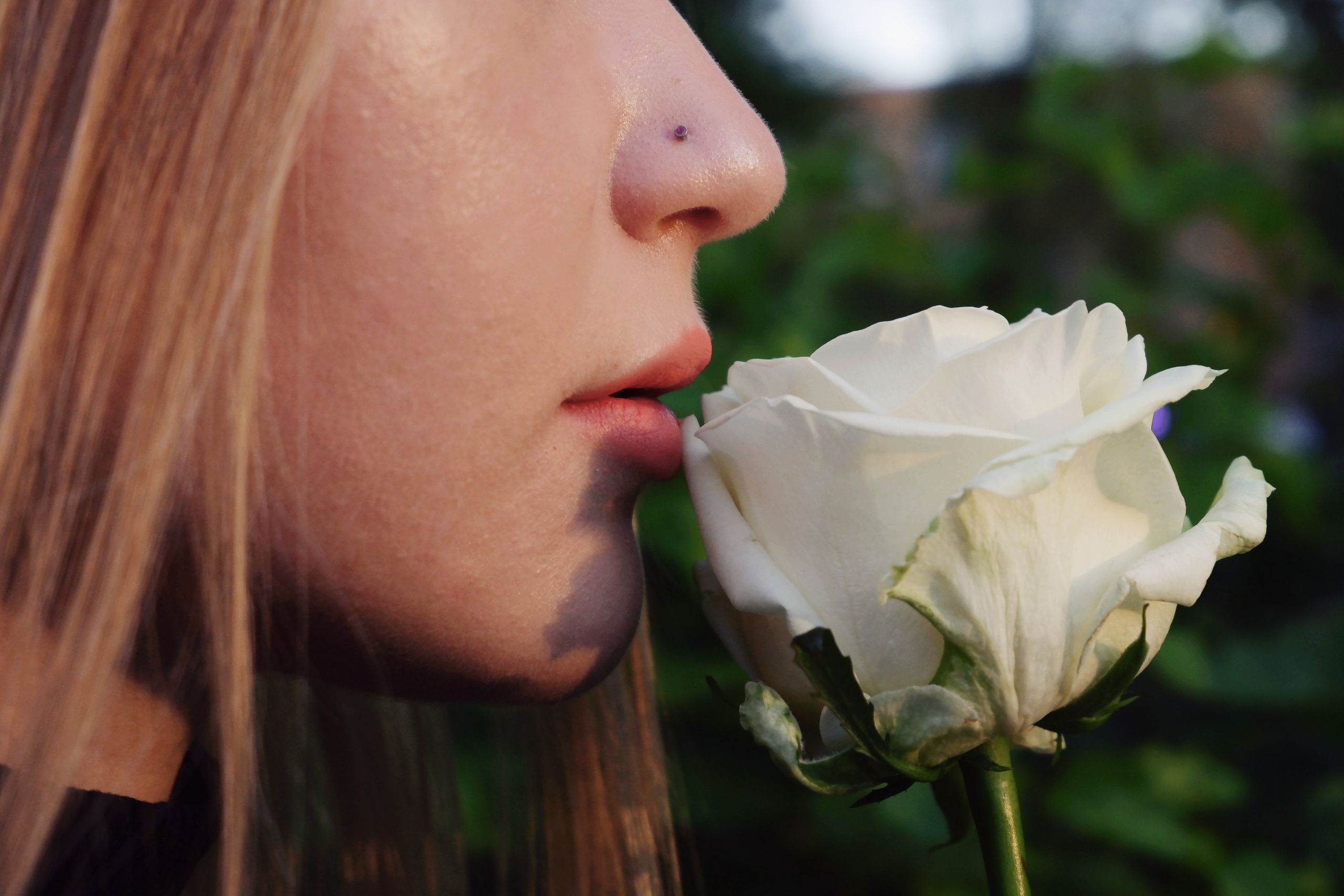 Нежная как роза. Прогулка с&nbsp;красавицей Ксюшей