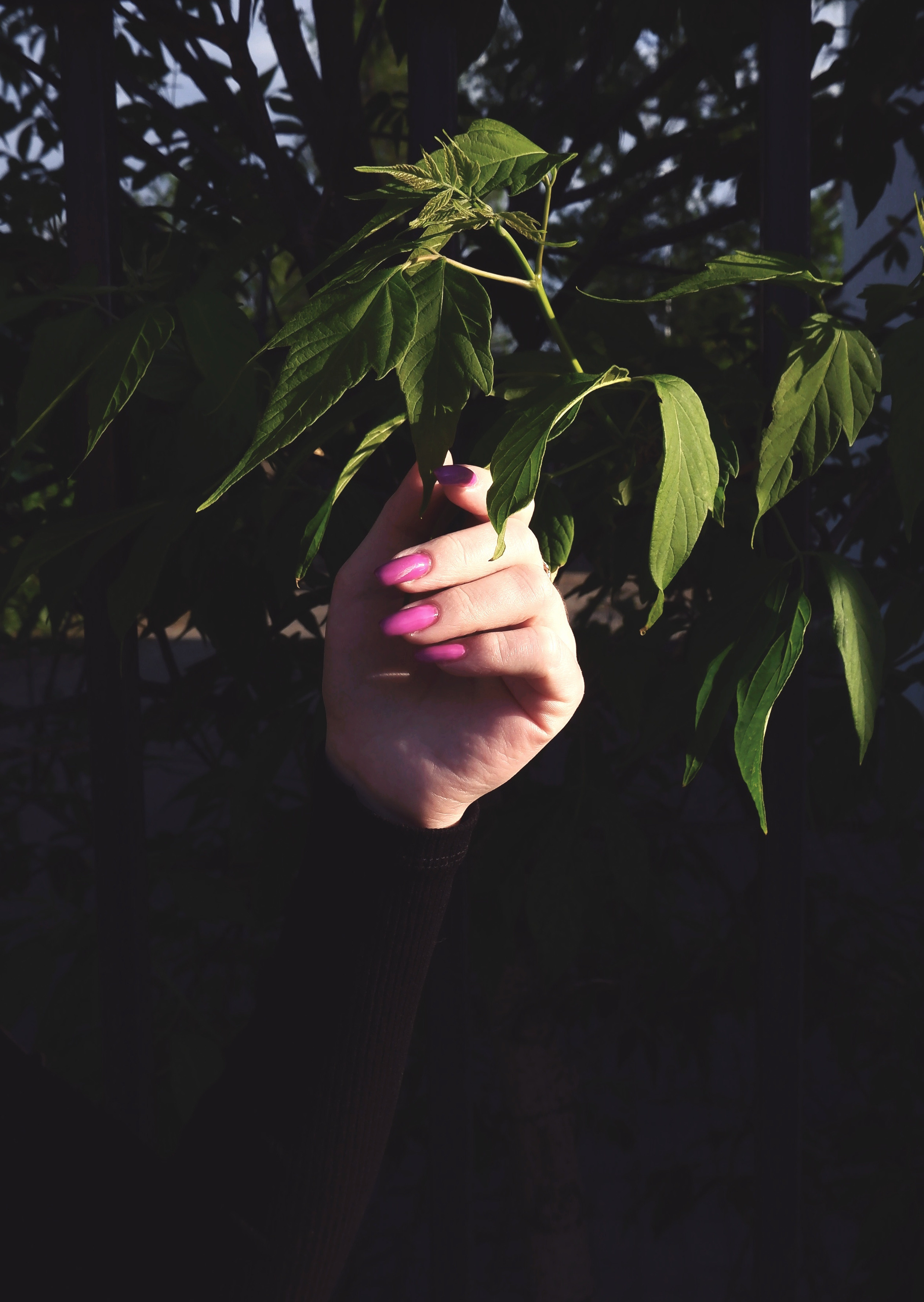 Нежная как роза. Прогулка с красавицей Ксюшей. Фотограф в Норильске Наташа Фаби