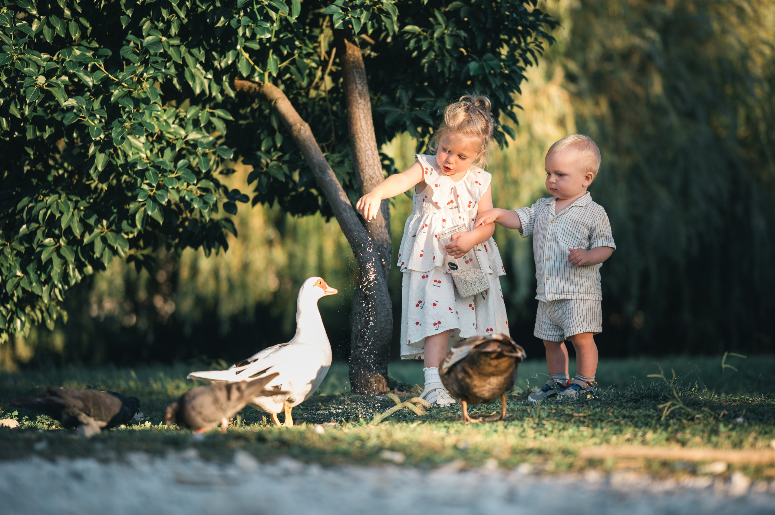 Семейное. Главная