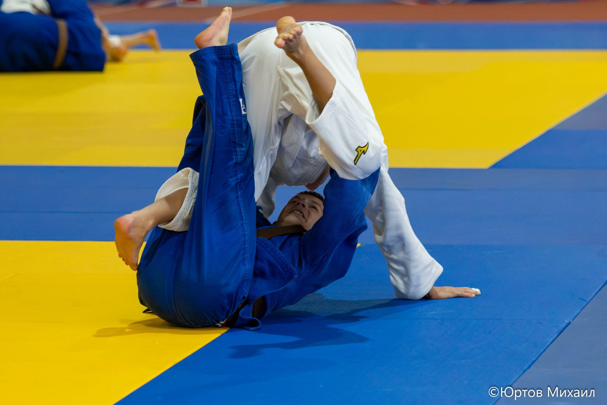 Дзюдо. Спортивный фотограф Михаил Юртов