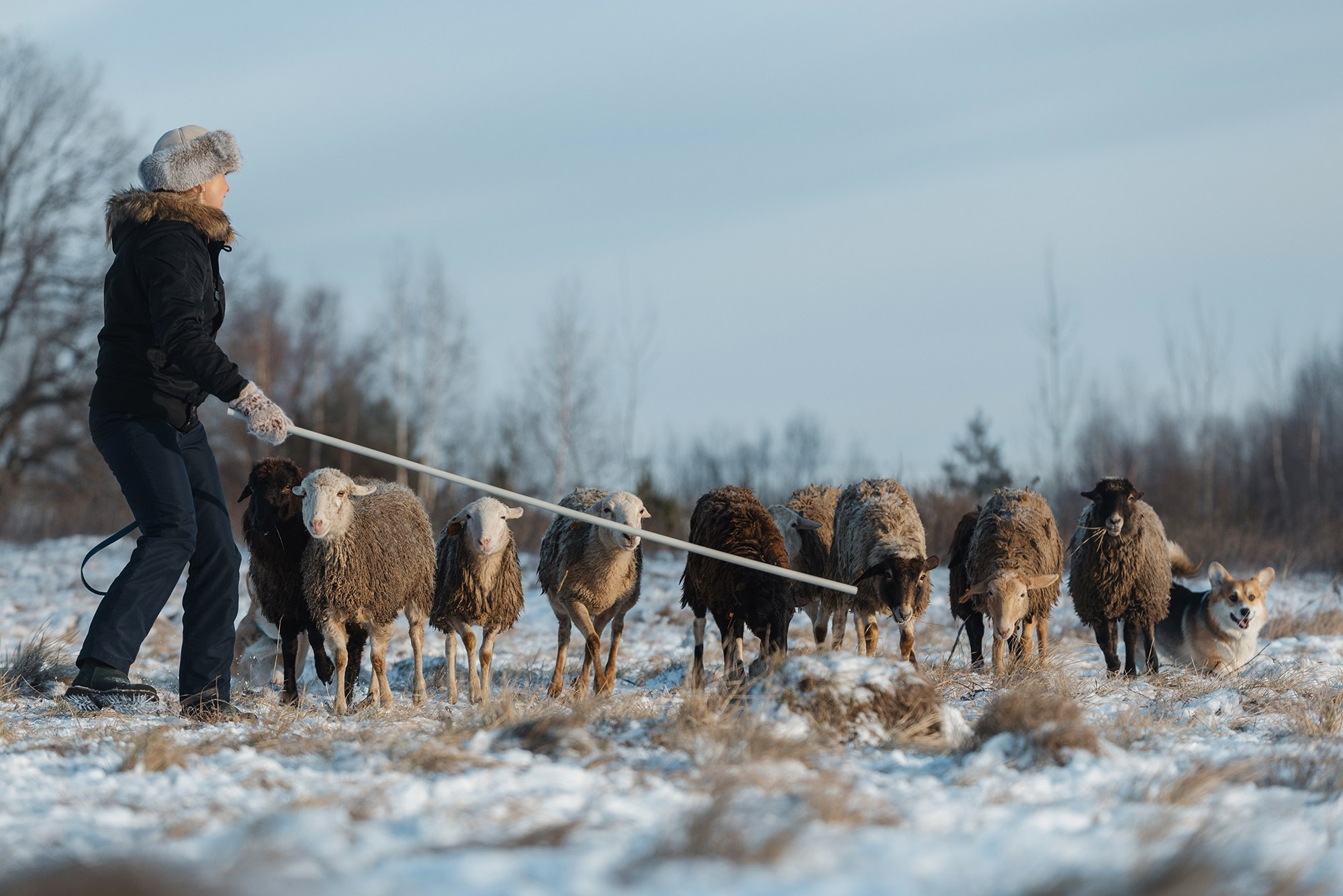 Пастьба. Фотограф Анна Тюрина
