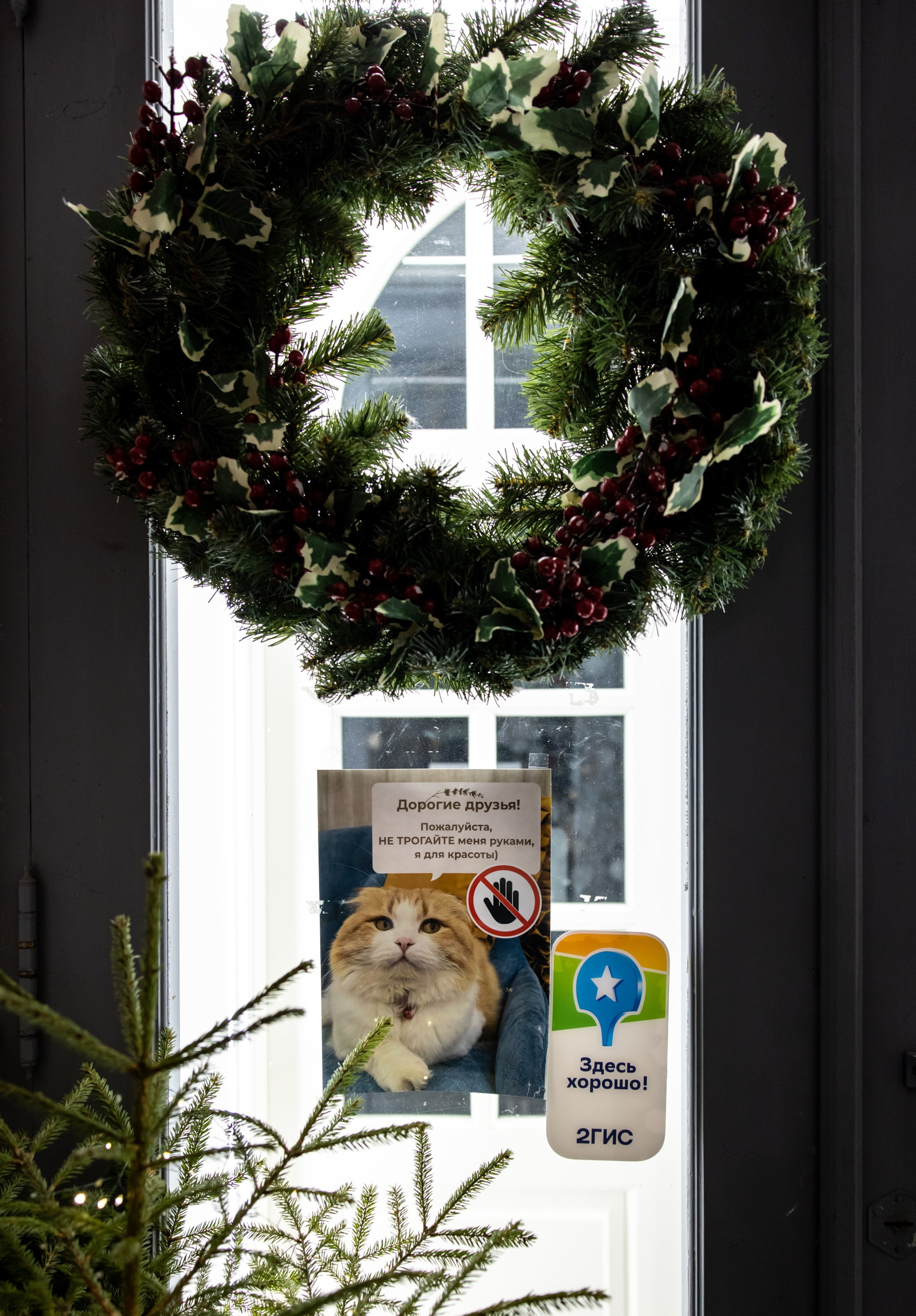 Новогодняя фотосессия в Костроме. Портретный фотограф в Костроме Наталия Клевинскас