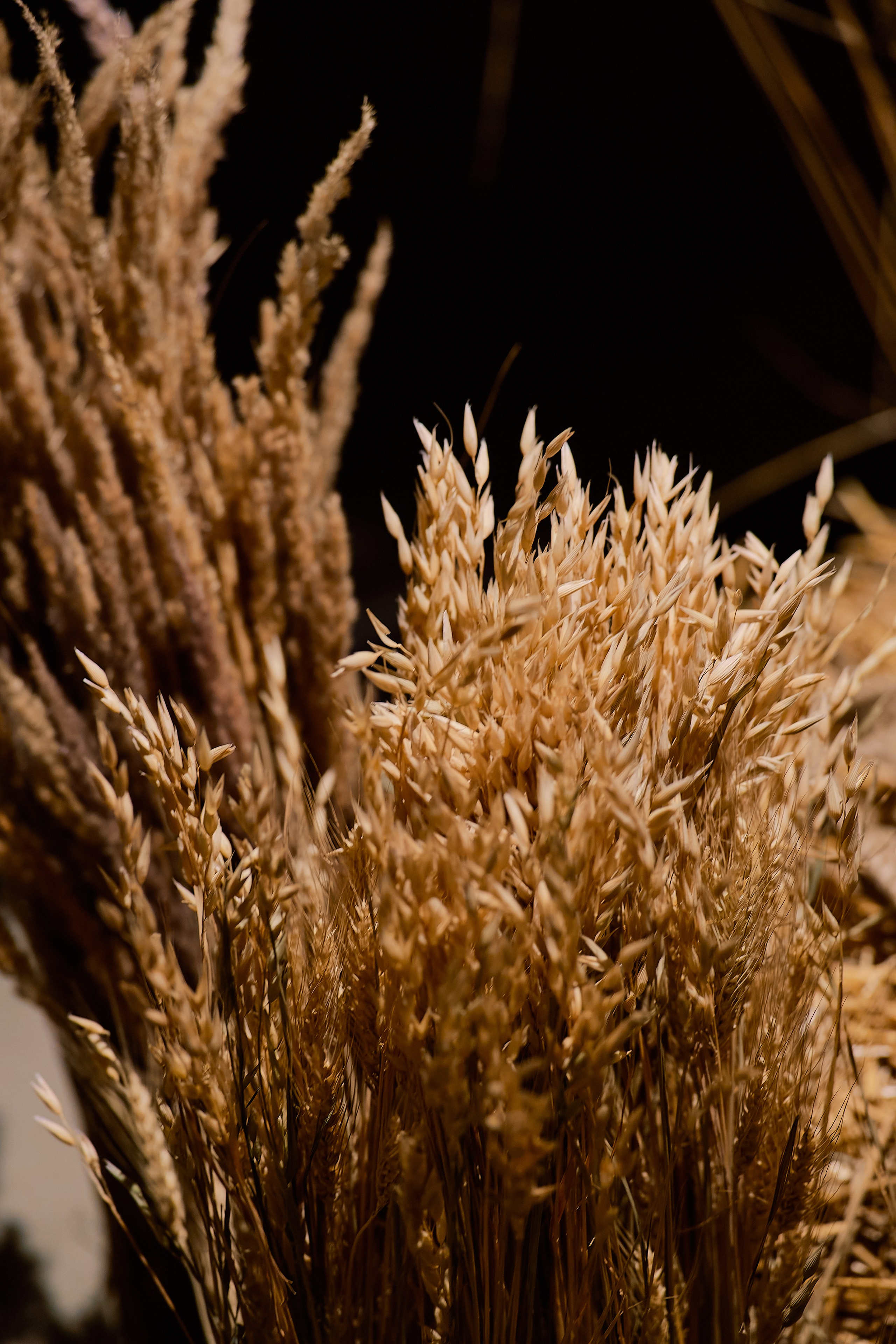 SARAY | 24.11.2025 | г. Москва, ресторан «Сарай». МашаШарики | Декоратор | Москва