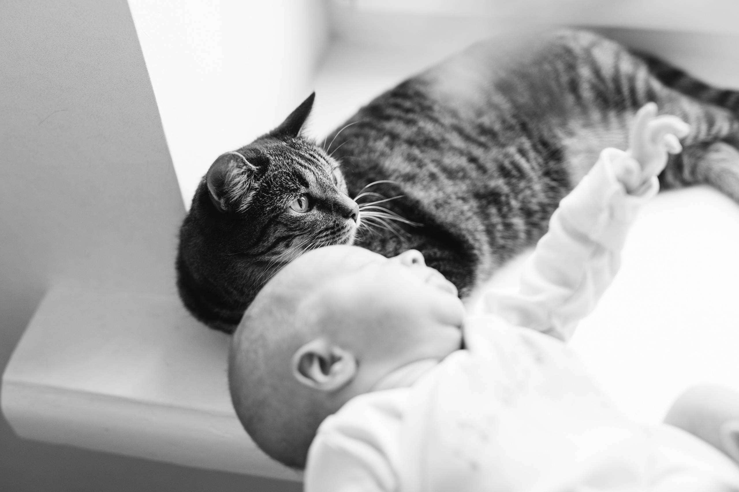 Новорожденный малыш Сева