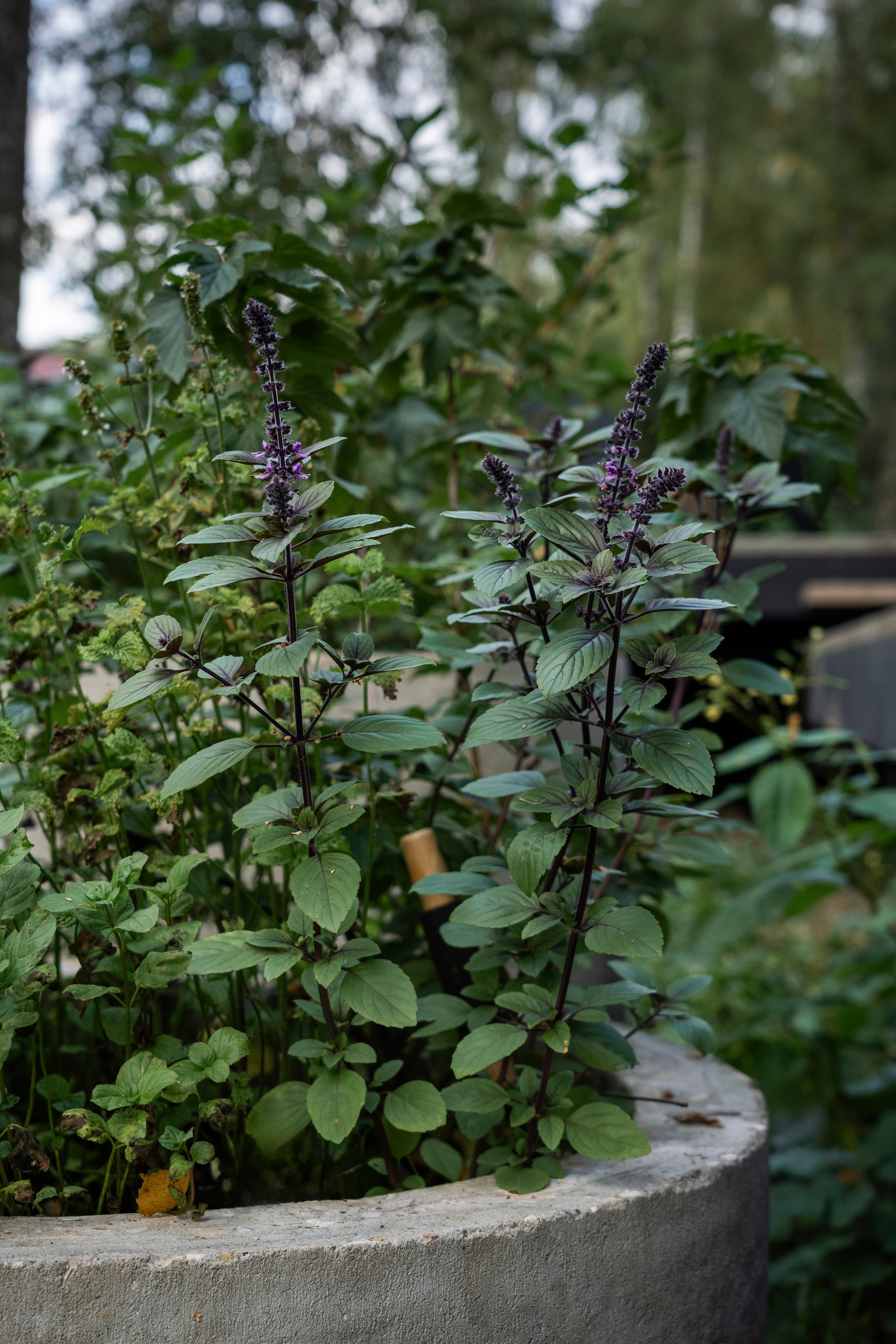 DublDom. Артамонов Александр | Архитектурный и ландшафтный фотограф