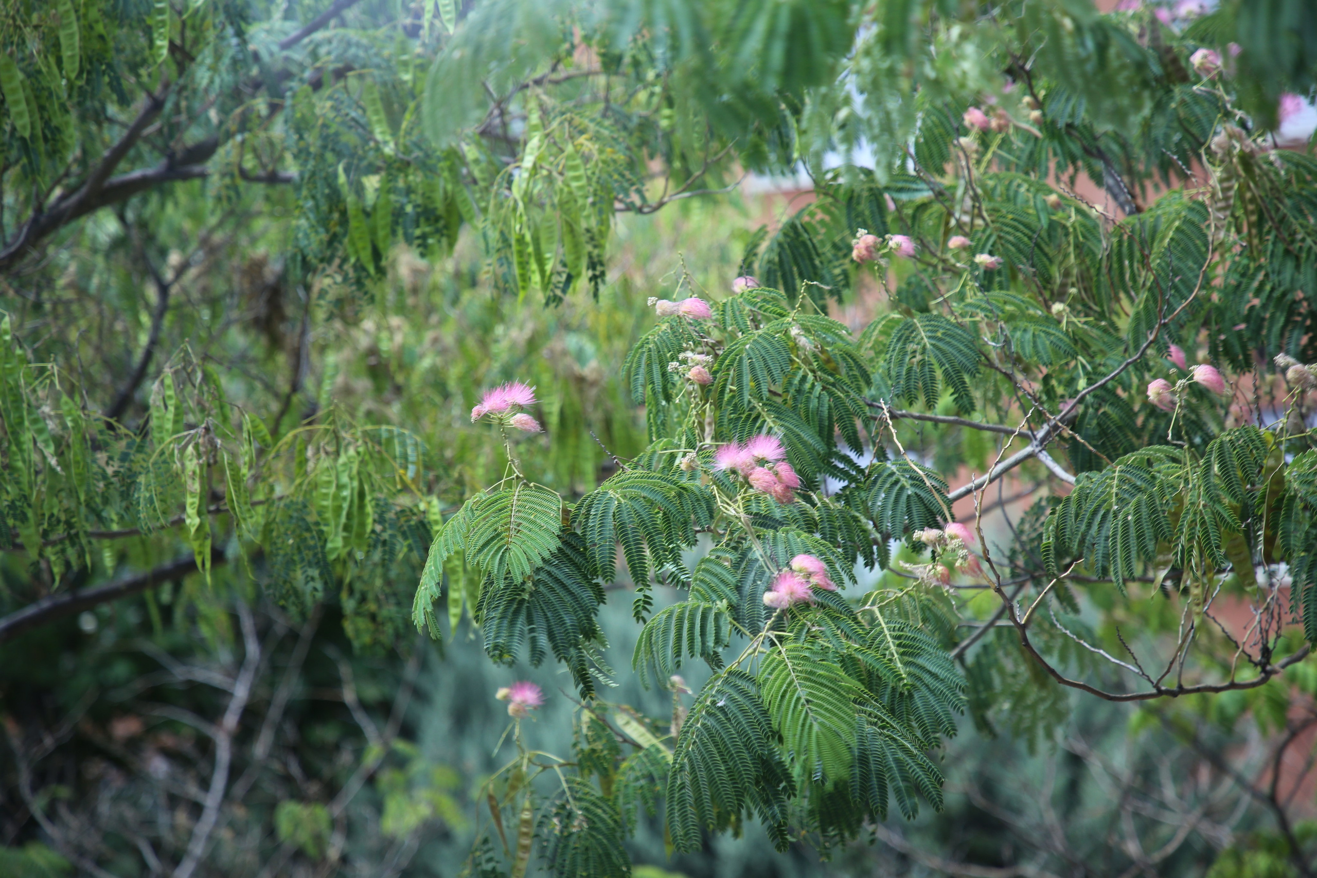 Lisbon, Portugal. Andrey Filippov Photographer
