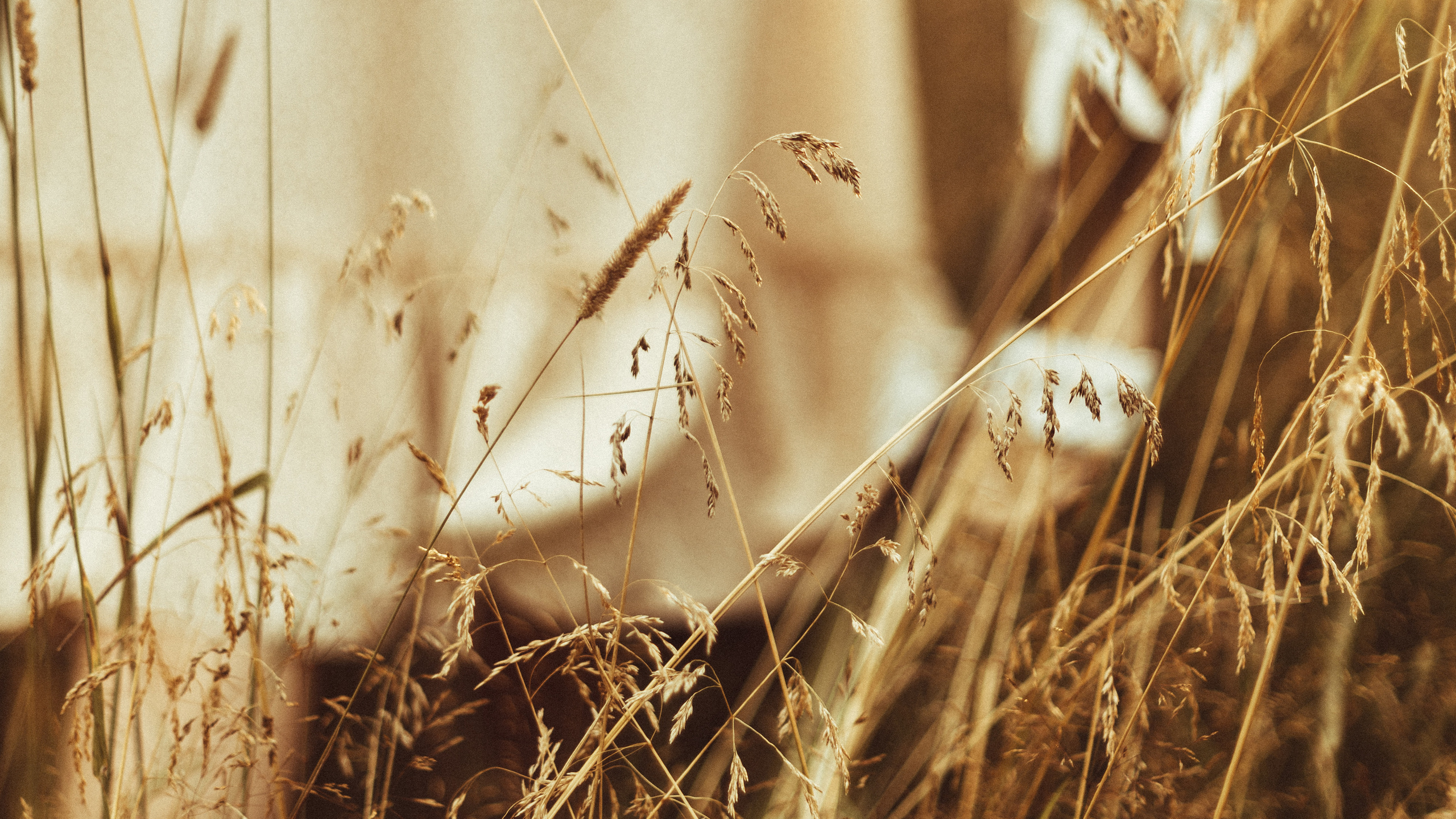 Теплый вечер. Света Полетаева Москва