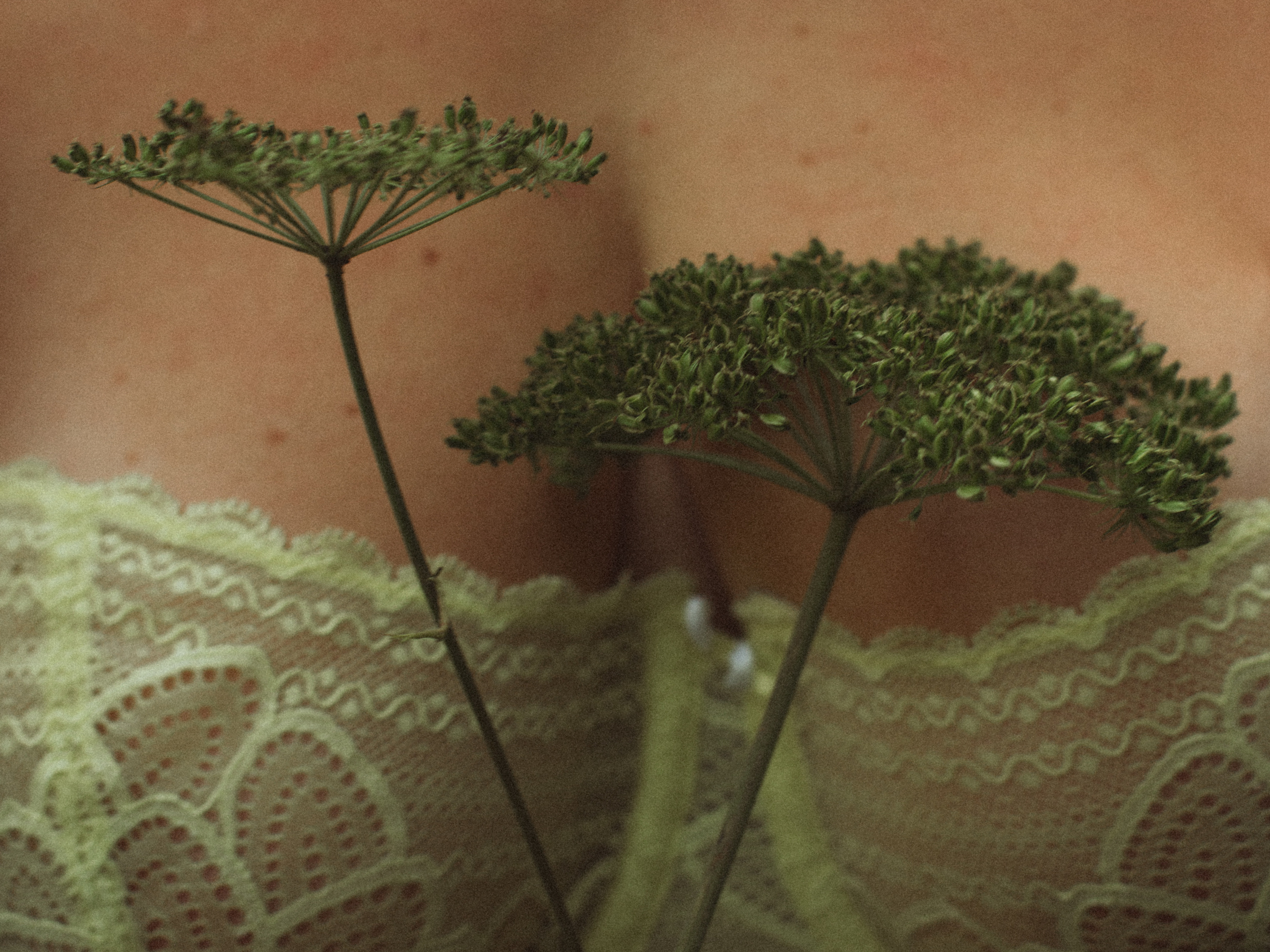 Торжество женственности. Света Полетаева Москва