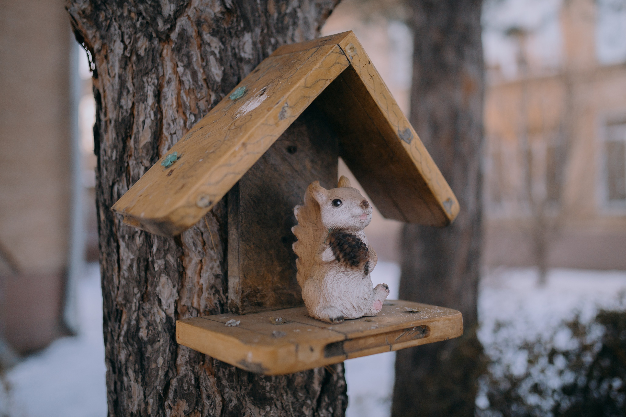 Зарница. Школа-интернат 5 // 24.11.2024. Денис Прохоров Фотограф в г. Магнитогорск