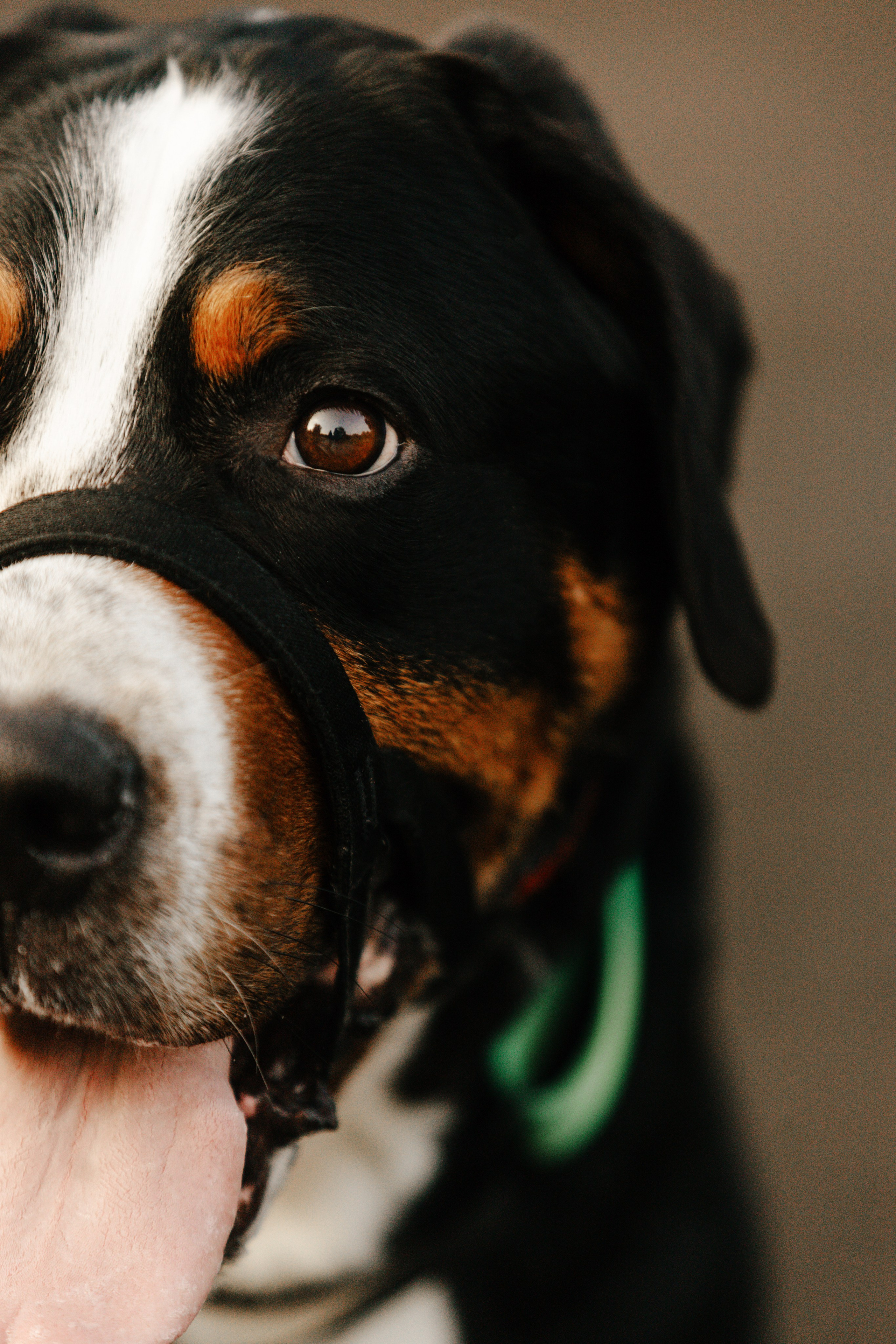 Москва / Дарья и Каспиан. Фотограф Кузина Вера