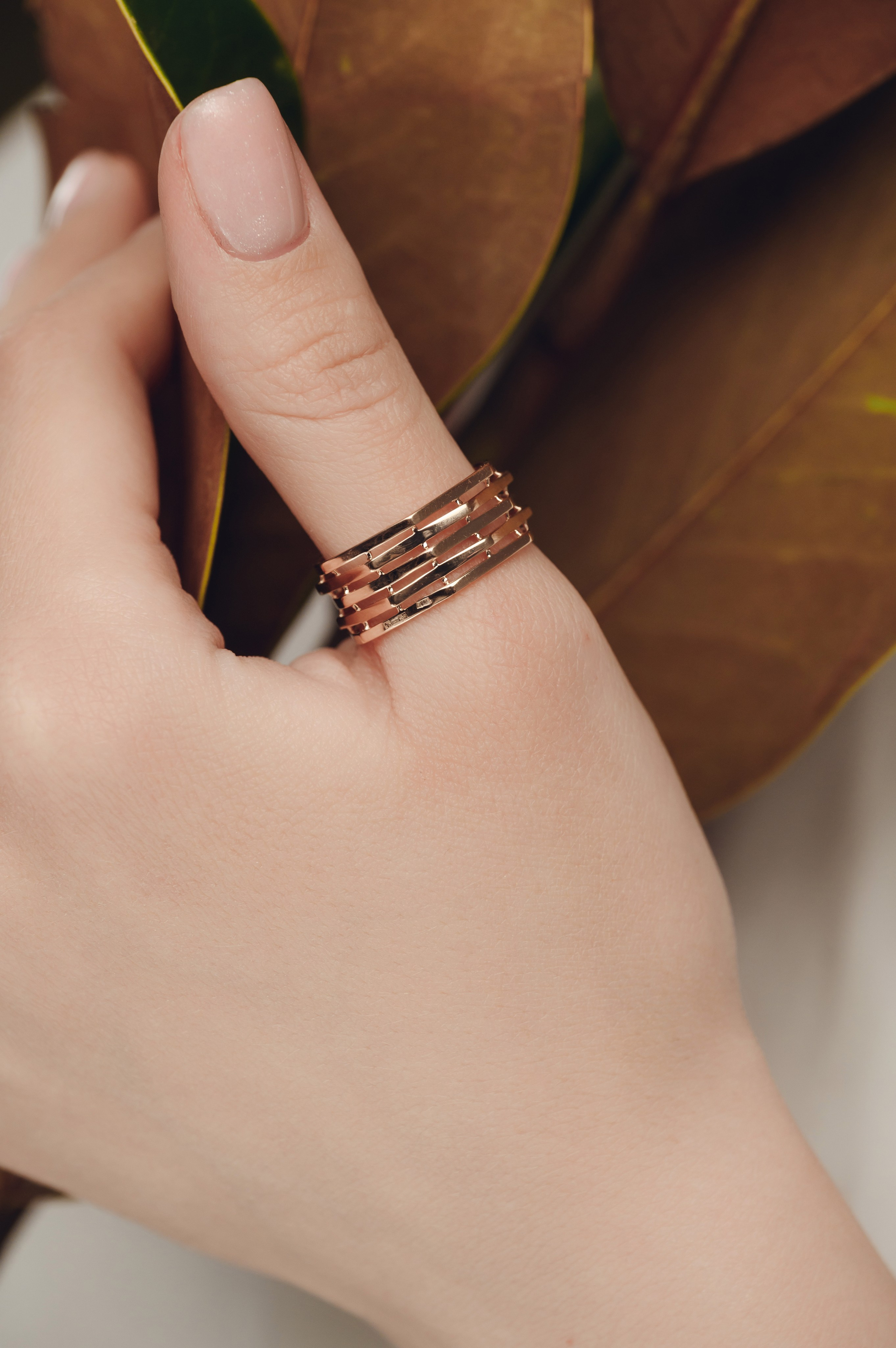 585 Золотой Евразия