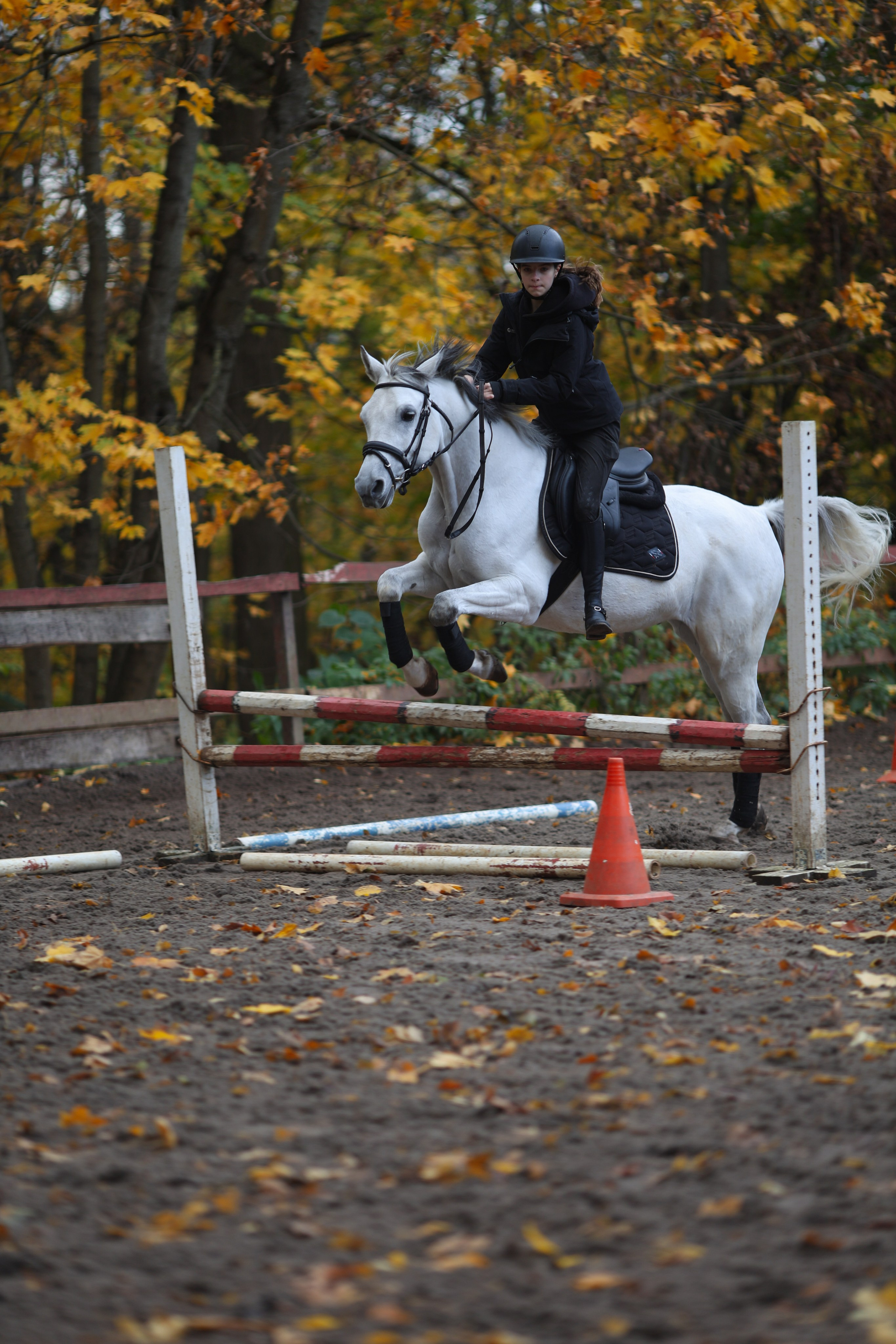 Фотосессия с животными. Фотограф Алина Рошаль. С 2017 года ловлю эмоции и превращаю их в нежные воспоминания для вас в Москве и Подмосковье