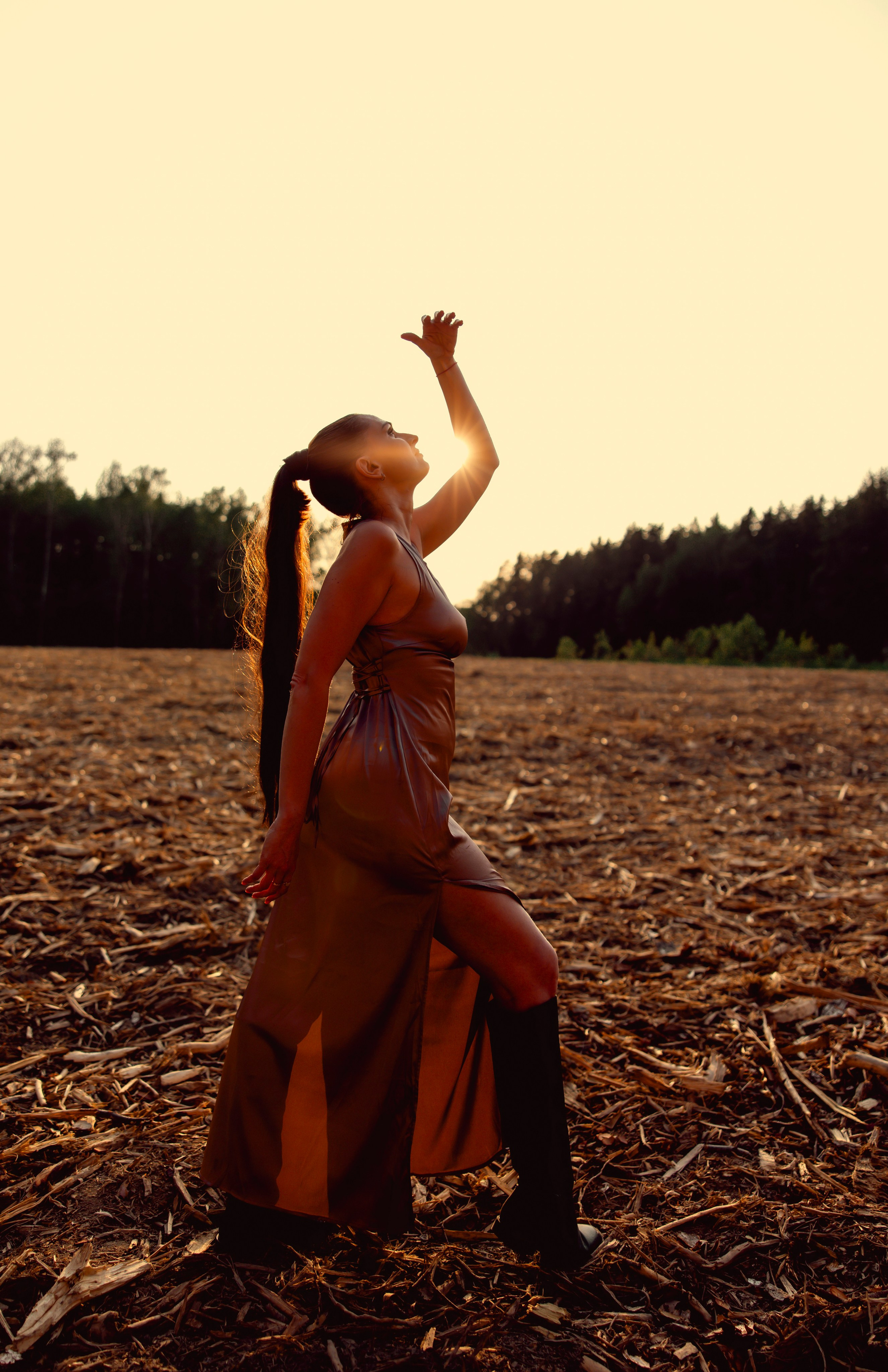 Древесные узоры. Сказочный фотограф для Вас и Вашей семьи