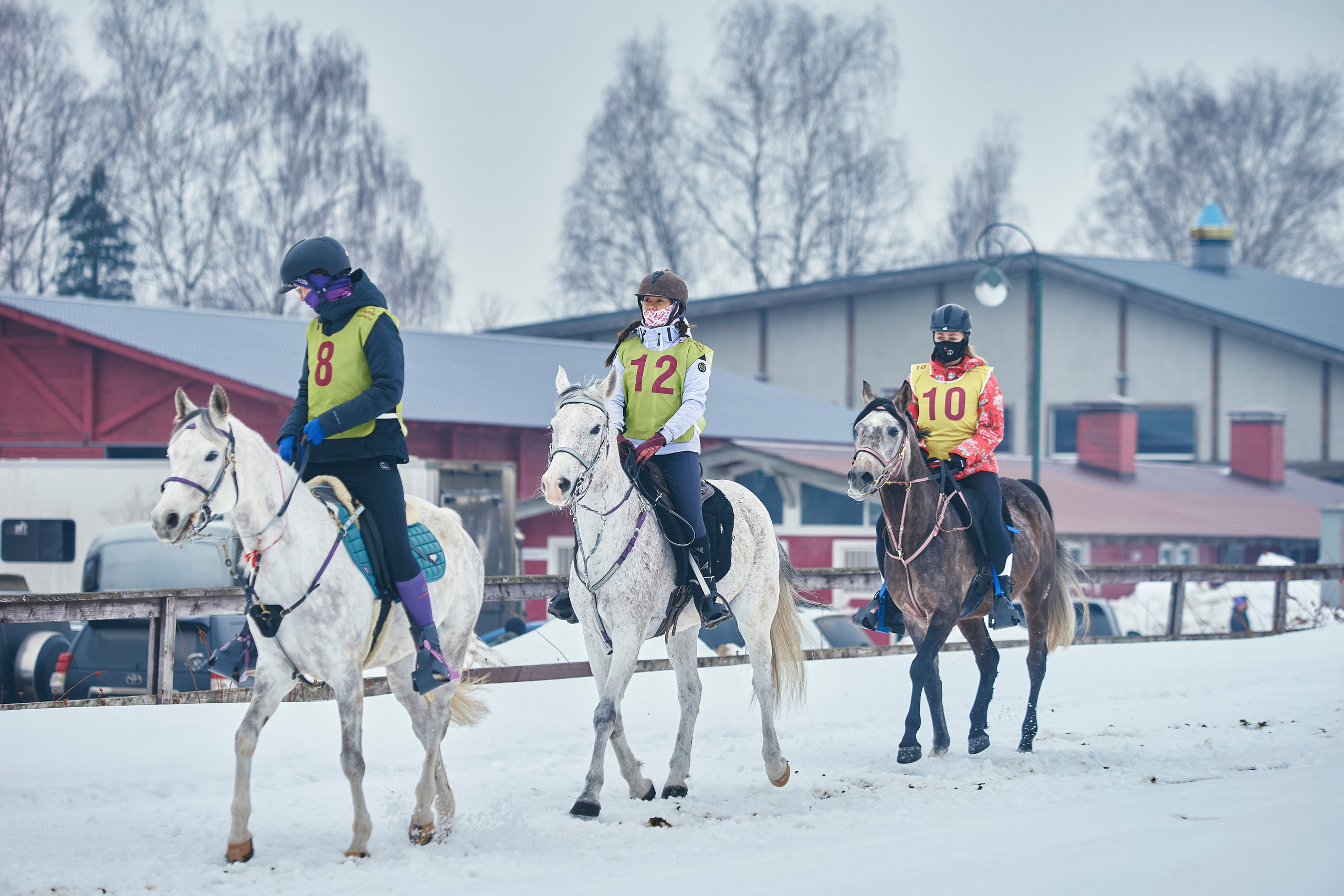 HORSE RACING. Фотограф Наталья Леонова