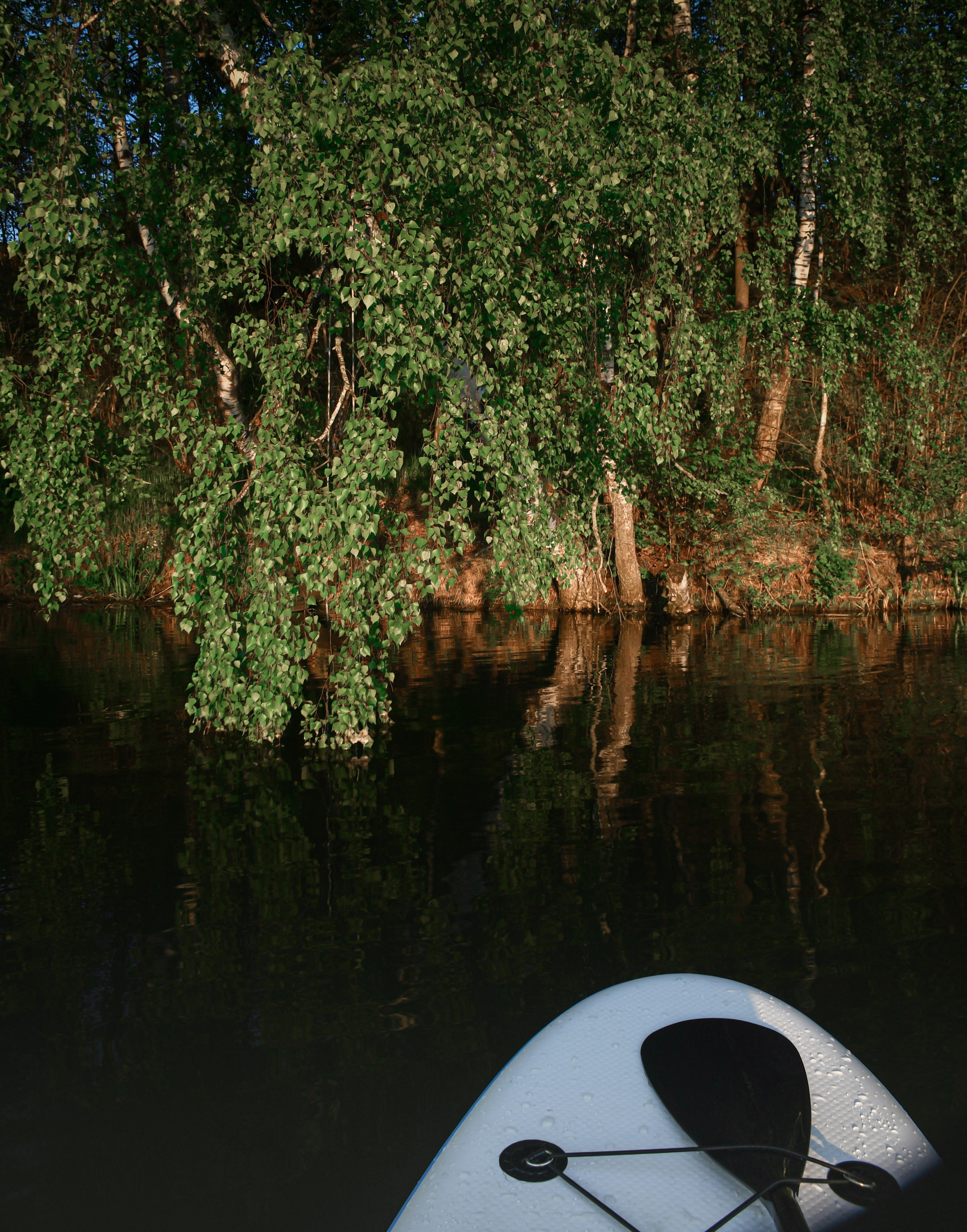 Фотопрогулки на сапах. В созвучии с природой. Фотограф Светлана В. Пронина, Москва