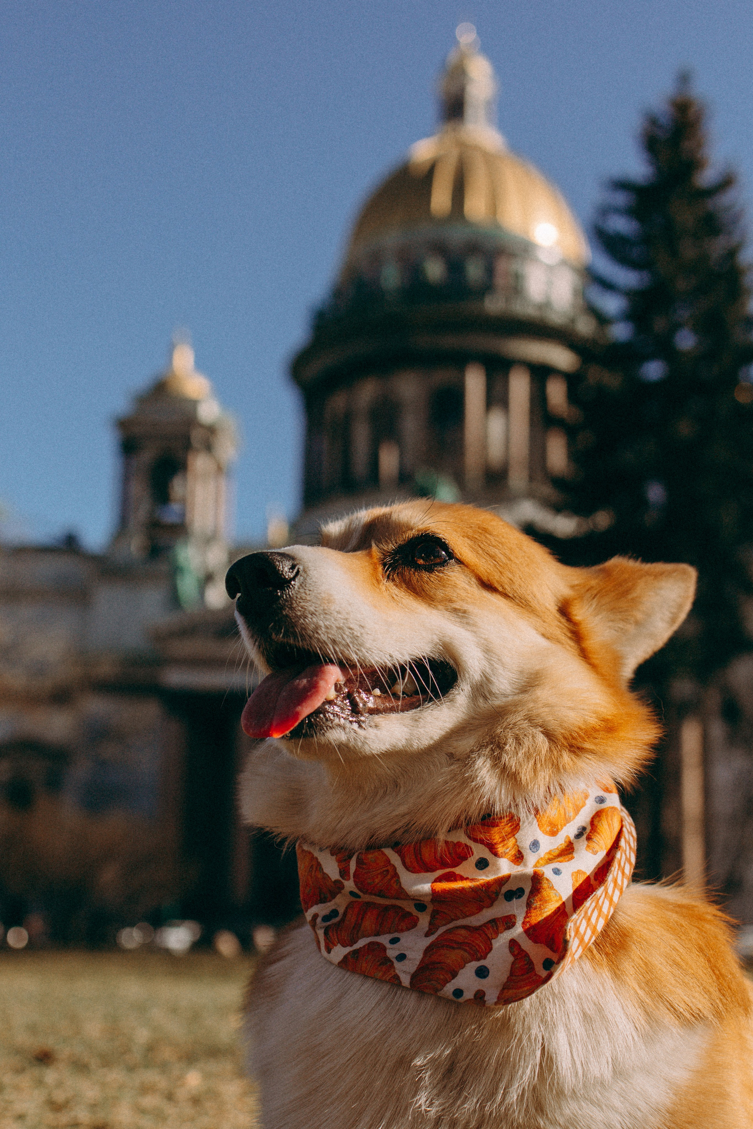 Елена & Мартин. Семейный фотограф Питер •love-story•|Санкт-Петербург