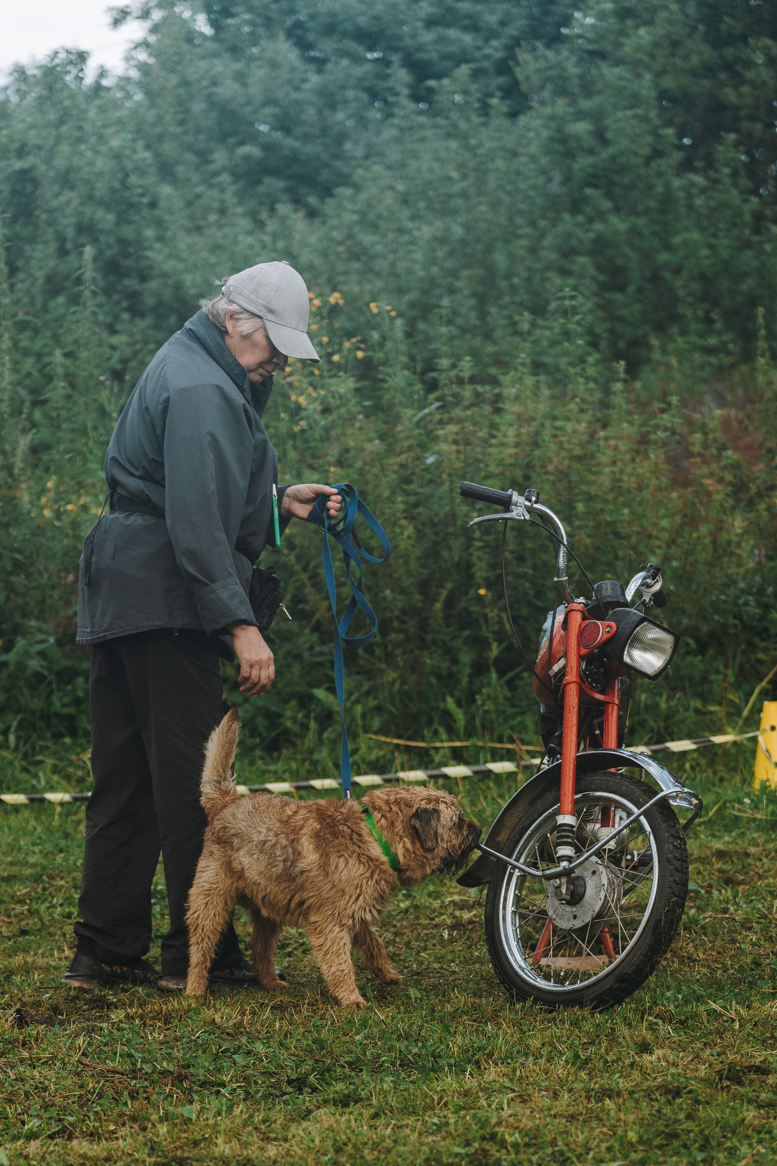 Соревнования по ноузворку в Новожилово. Фотограф анималист в Спб недорого Олеся Майорова