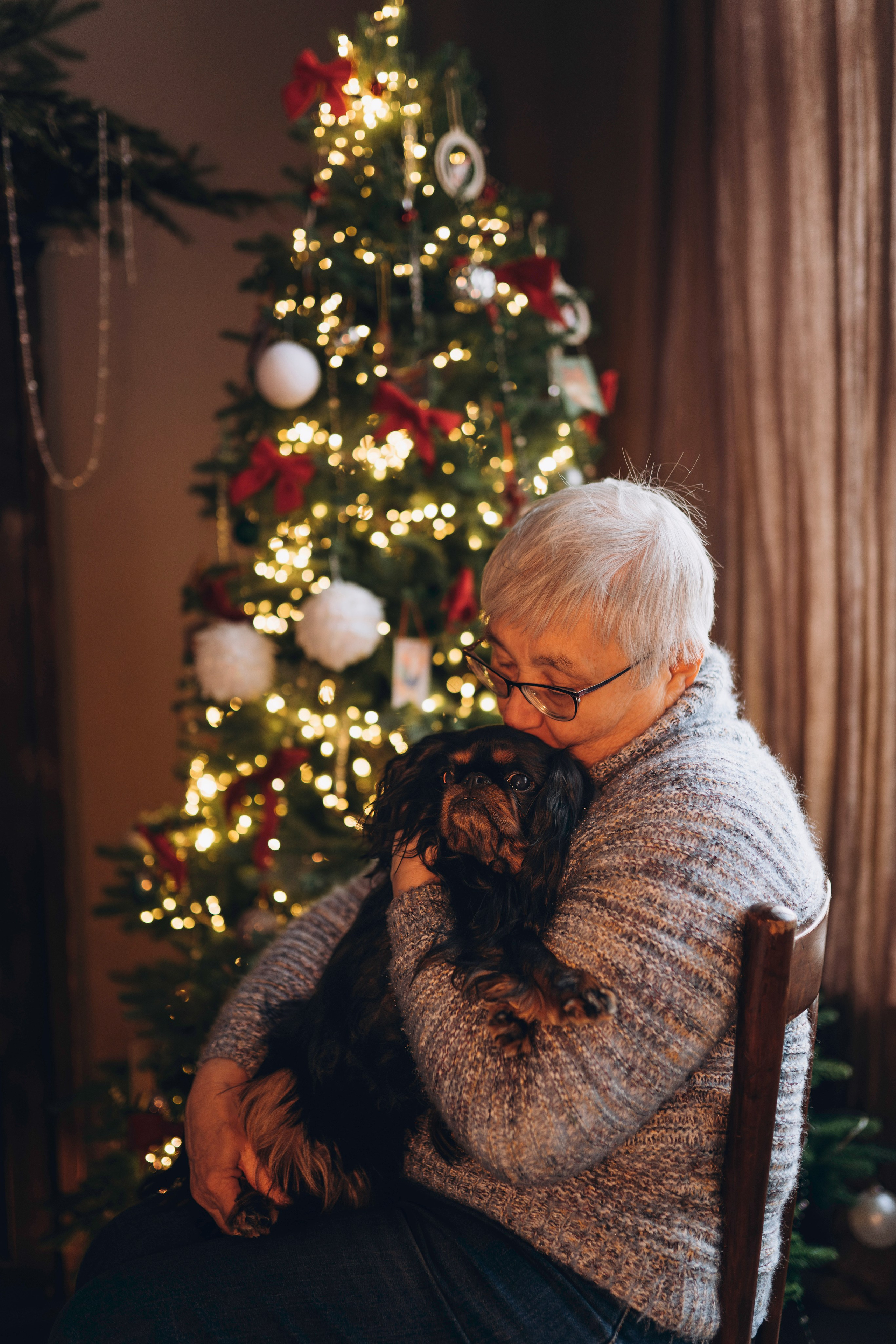 Ариша и её семья. Фотограф анималист в Спб недорого Олеся Майорова