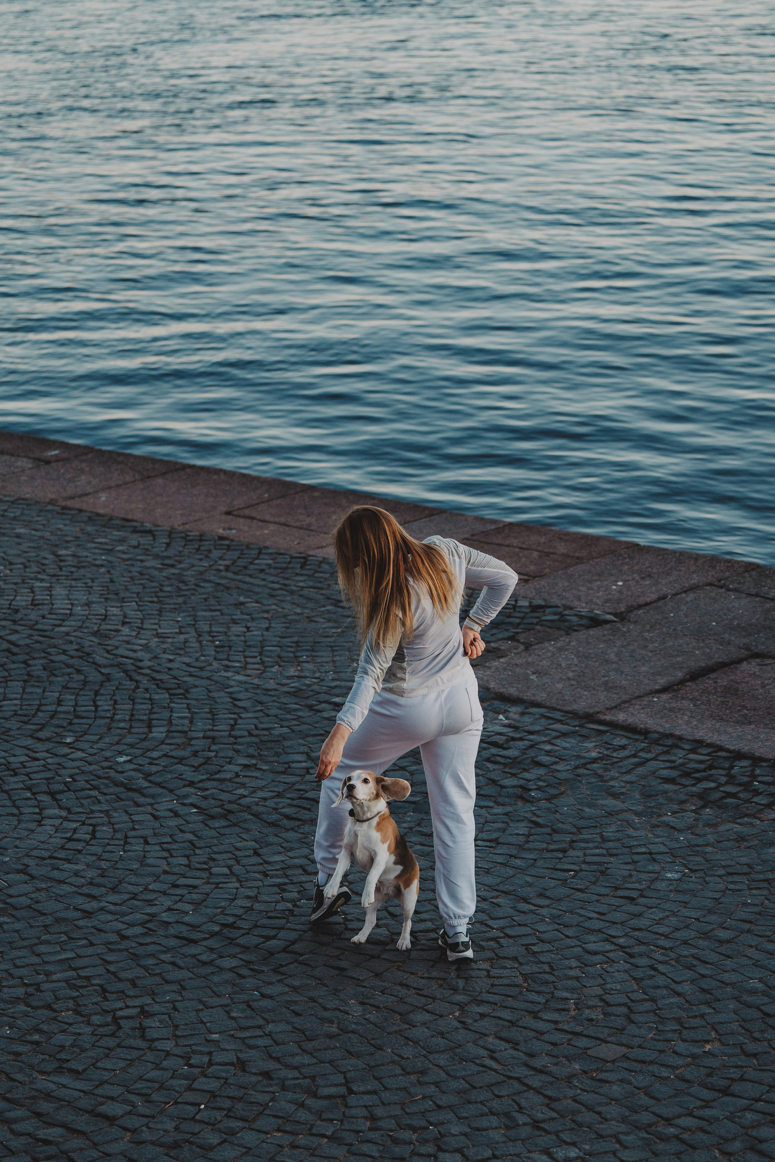 Ксения и Гаечка. Фотограф анималист в Спб недорого Олеся Майорова