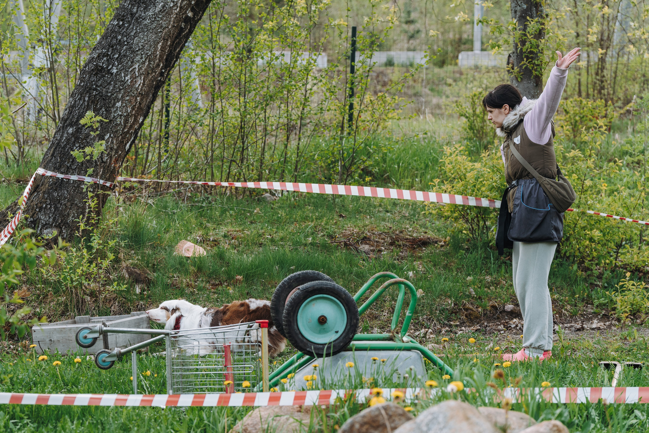 Соревнования по ноузворку в Лосево. Фотограф анималист в Спб недорого Олеся Майорова