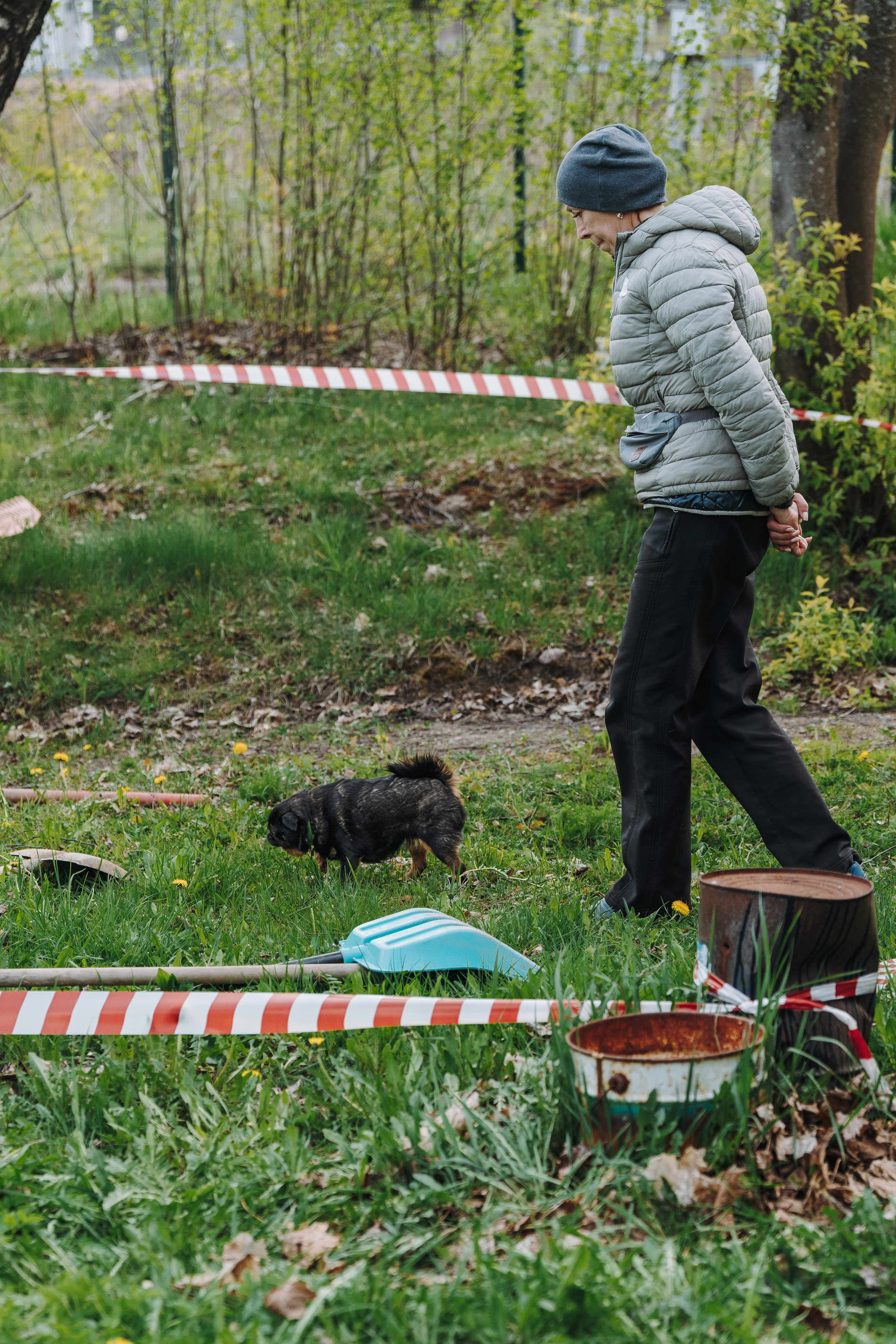 Соревнования по ноузворку в Лосево. Фотограф анималист в Спб недорого Олеся Майорова