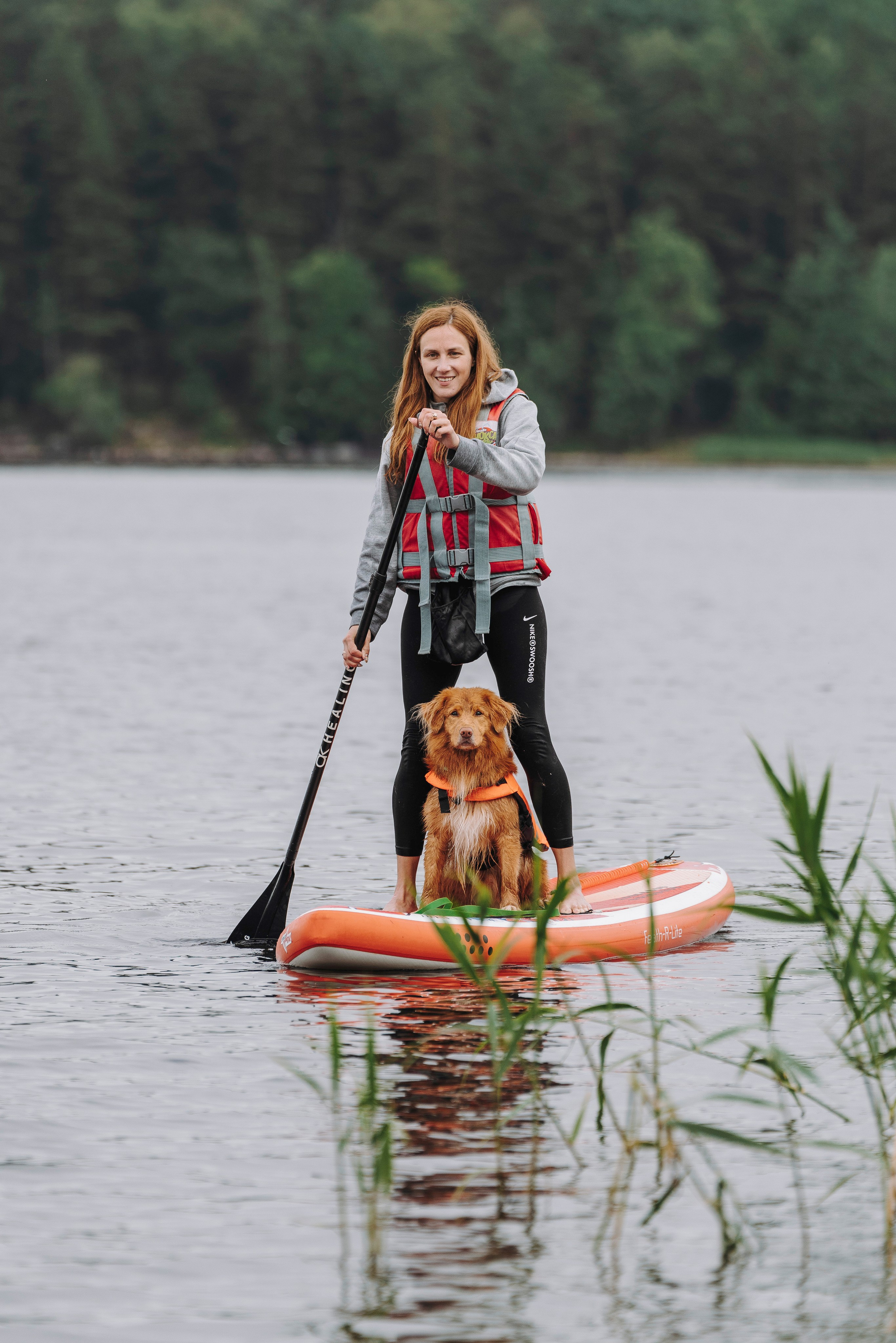 Катание на сапах с собаками. Фотограф анималист в Спб недорого Олеся Майорова