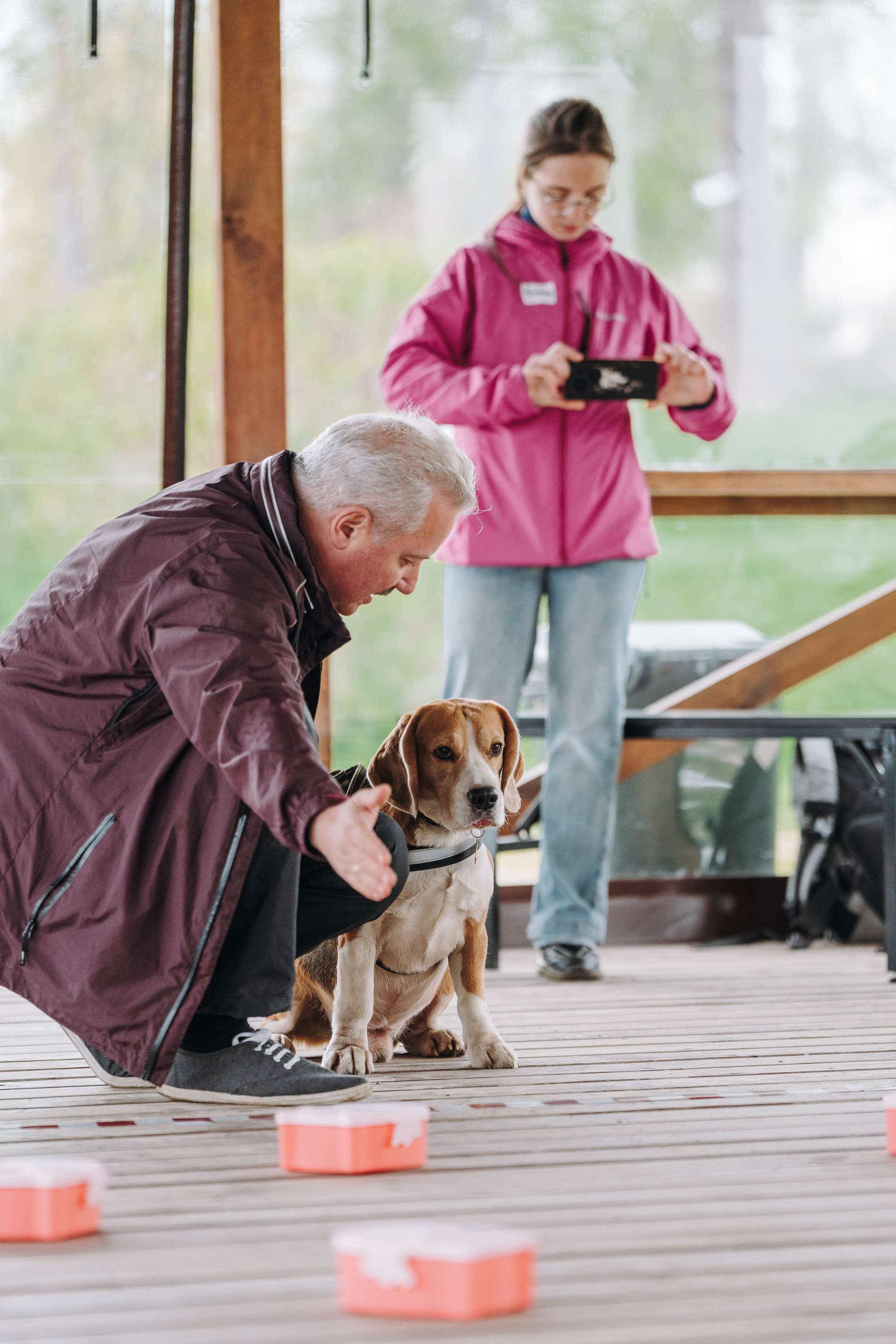 Соревнования по ноузворку в Лосево. Фотограф анималист в Спб недорого Олеся Майорова