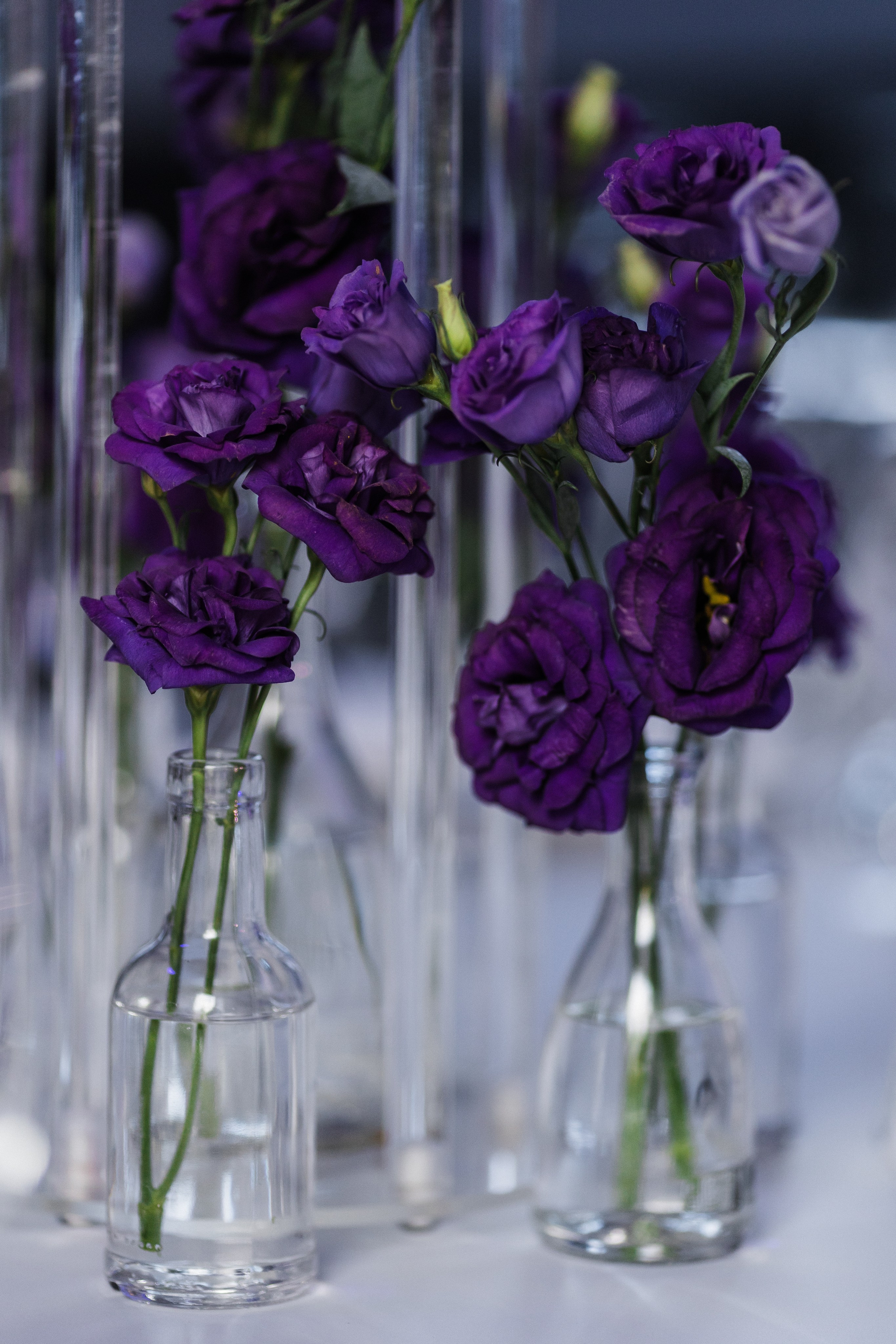 Павел и Нина. Свадебный фотограф в Краснодаре