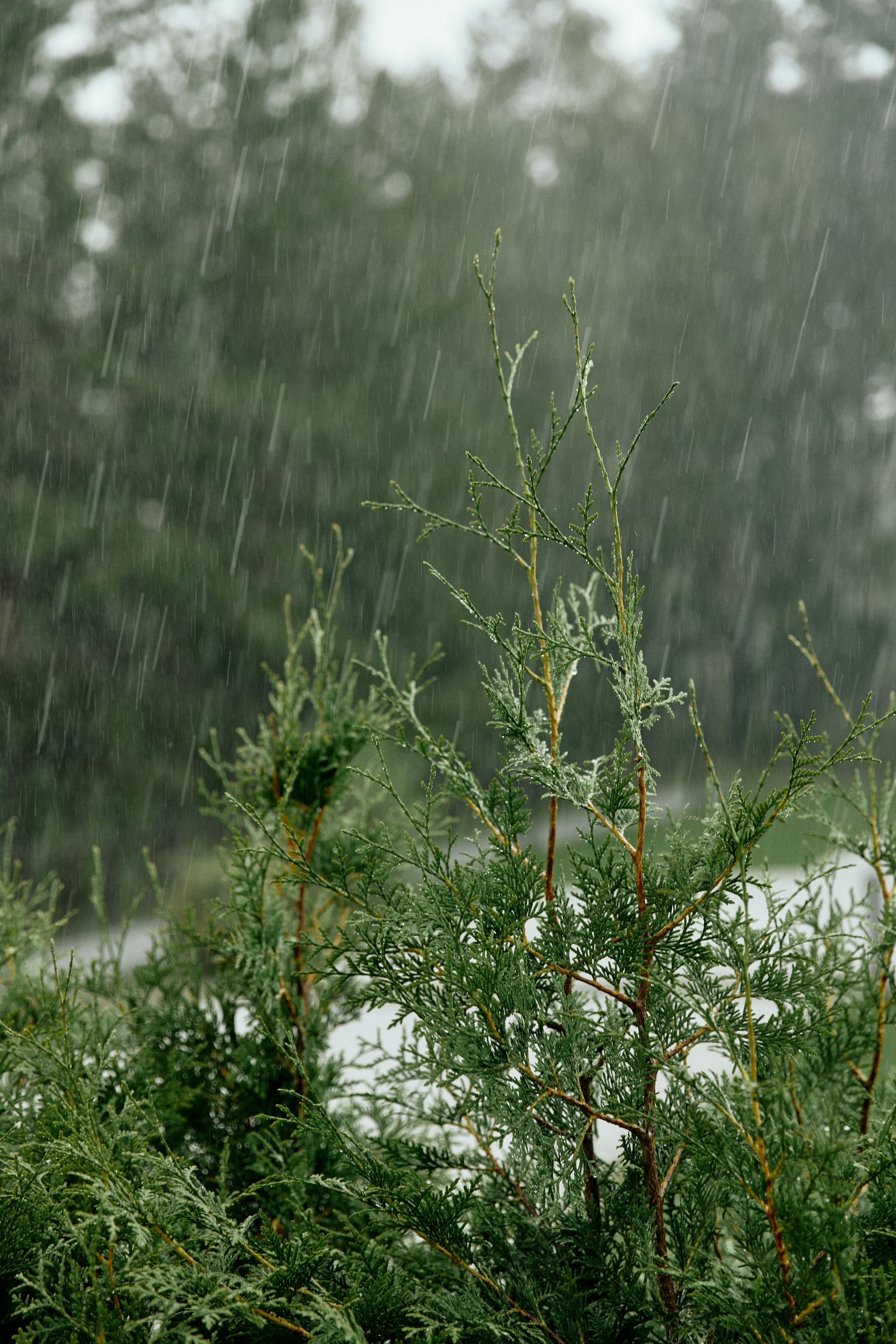 CASTLE IN THE AIR. Дмитрий Мазуркевич: Профессиональный Репортажный Фотограф