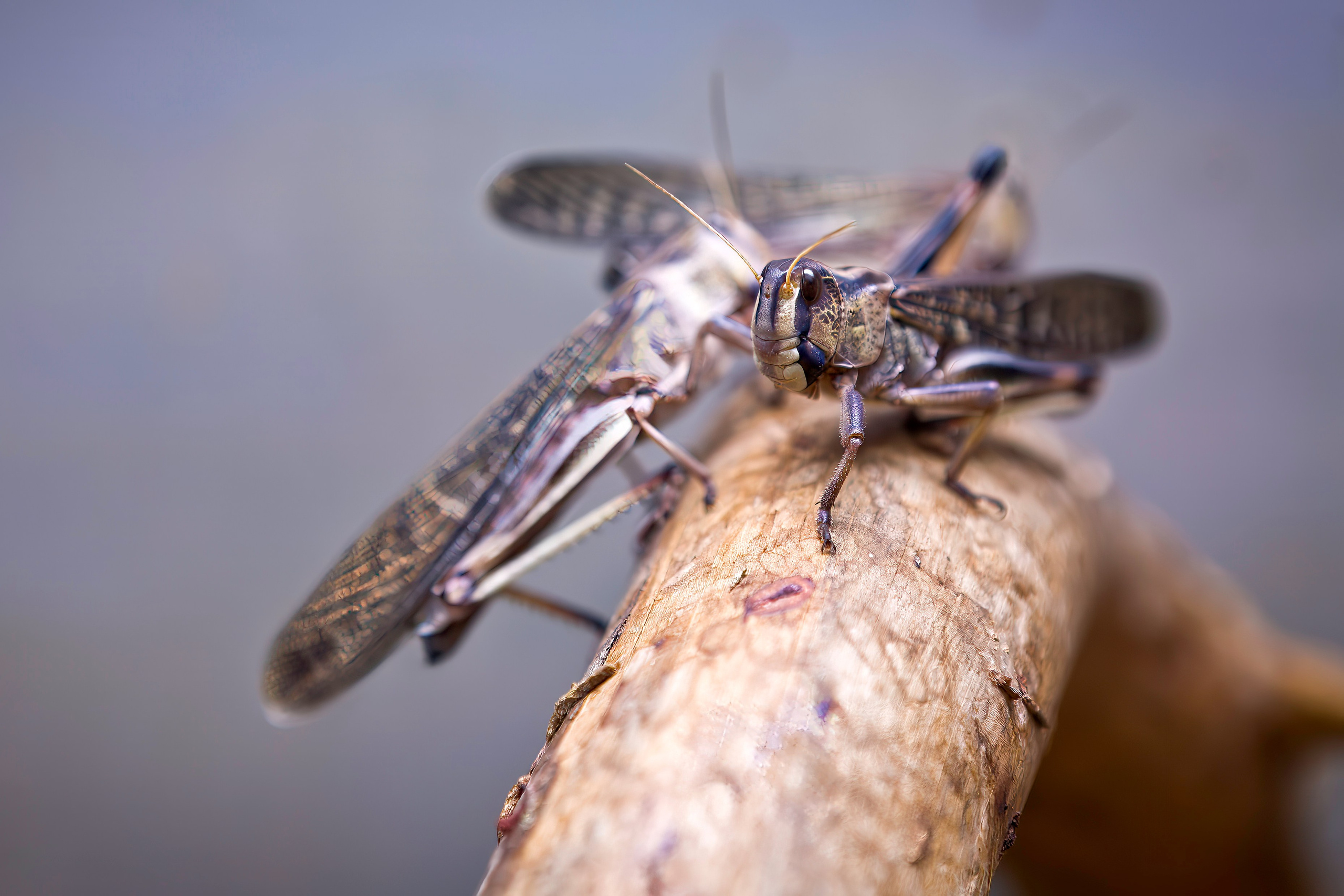 ЗООПАРК. Фотограф Владимир Остапенко