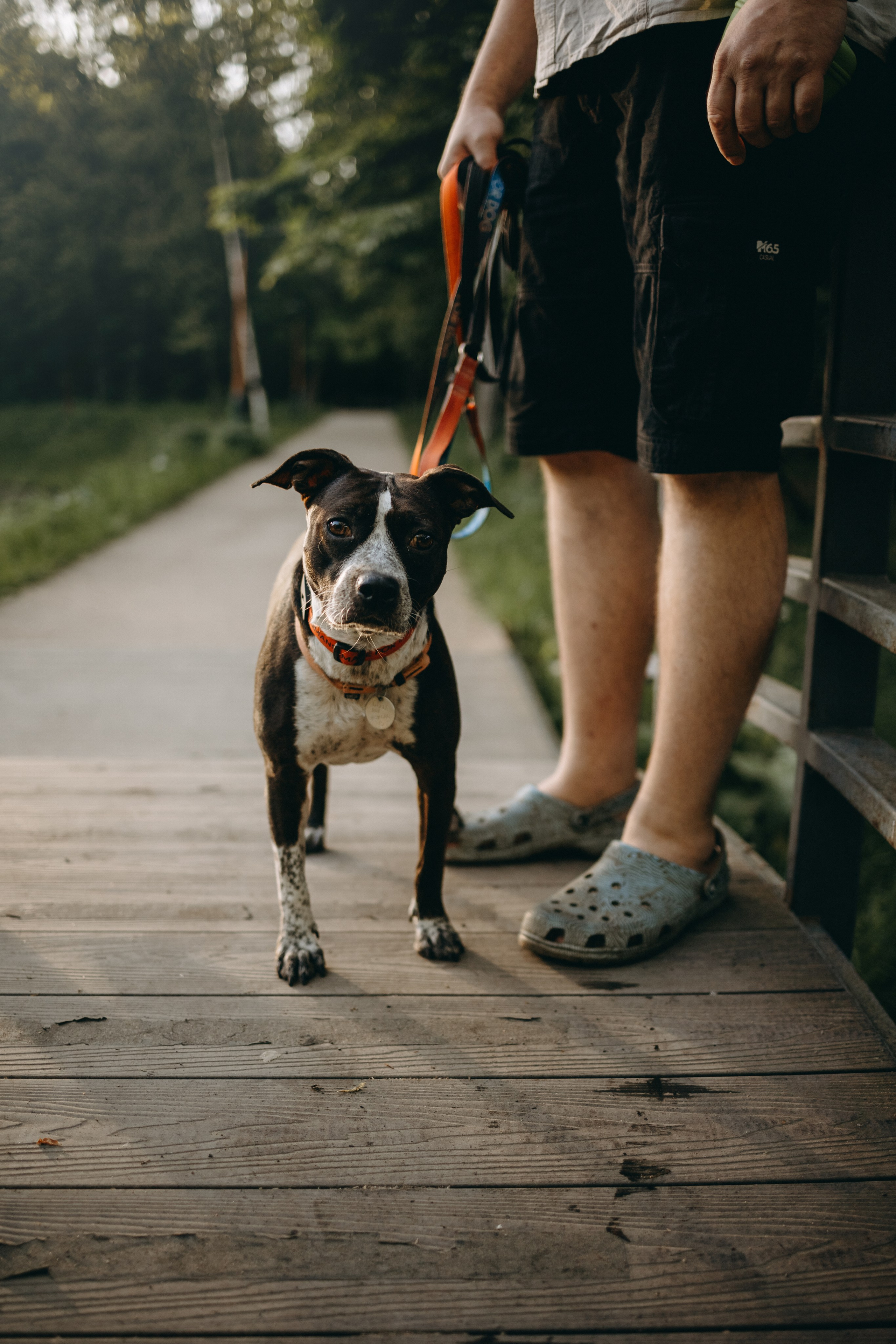 Татьяна, Сергей и их Булочка и Пончик. Фотограф — Анималист | Санкт-Петербург