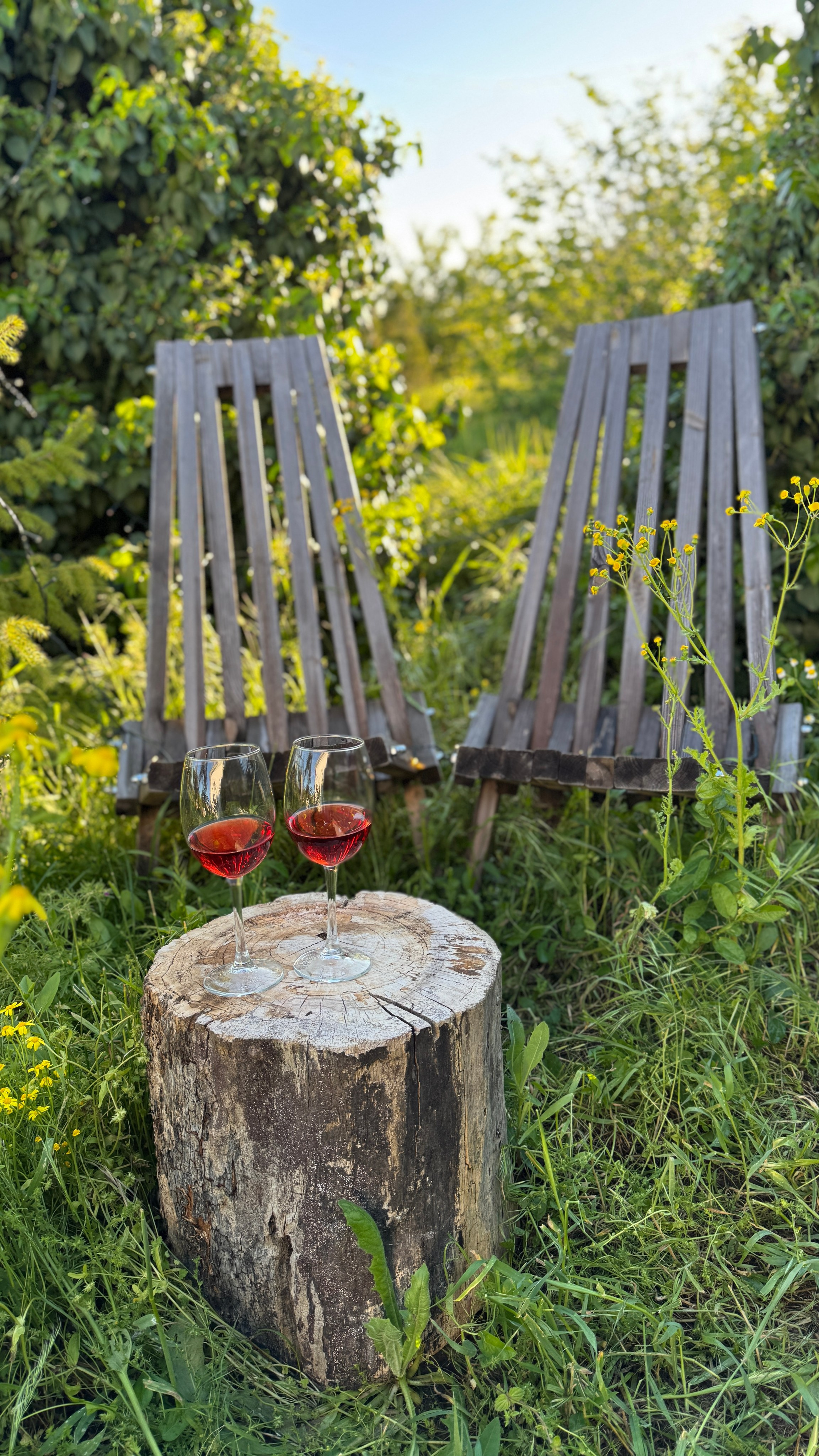 Пикники. Фотостудия Натальи Забродской