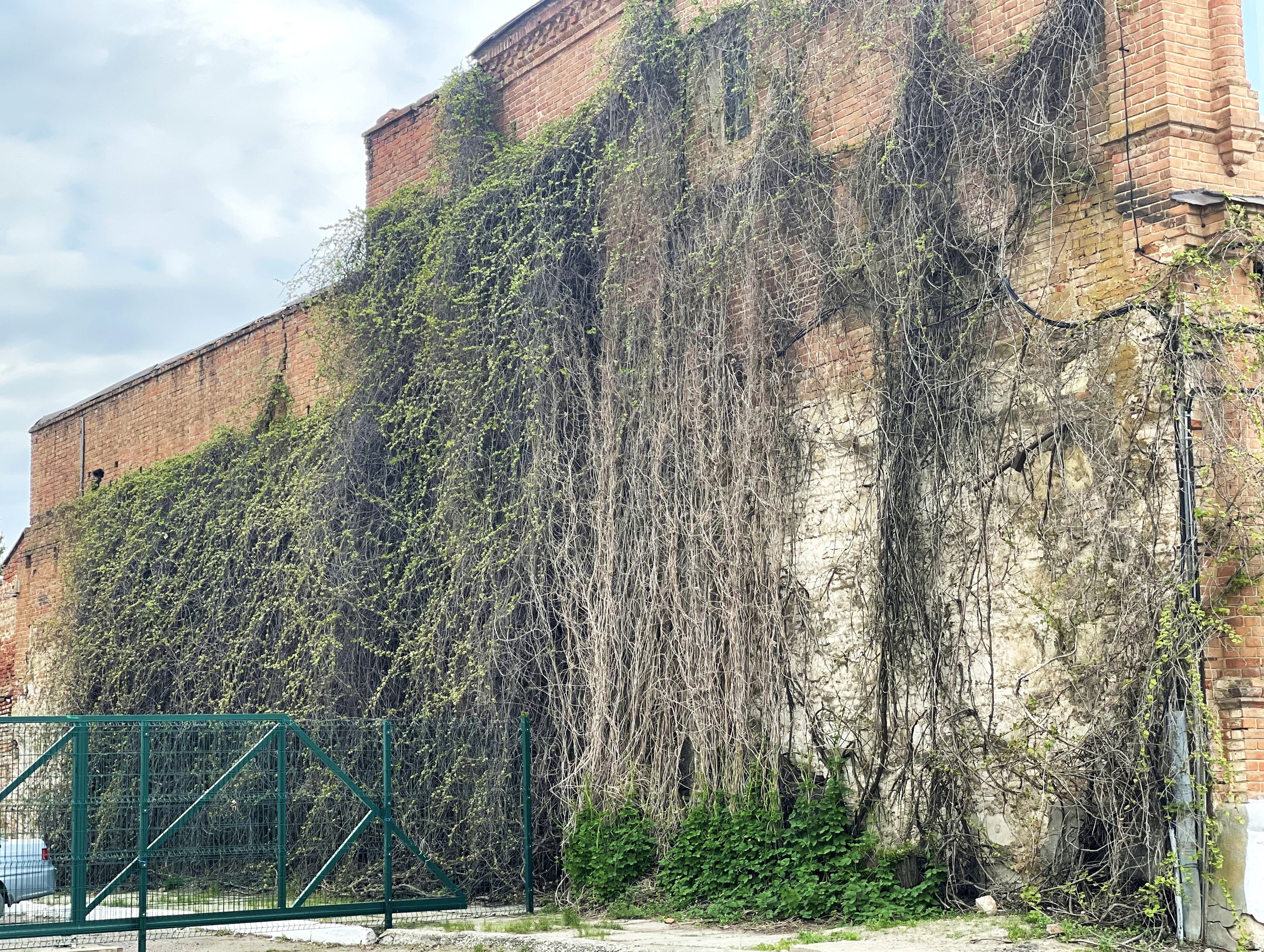 Картина 60 122. ВИЗУАЛЬНЫЕ И ЗВУКОВЫЕ РЕШЕНИЯ ДЛЯ БИЗНЕСА И СЪЁМОК ТЕЛЕТЕЛА