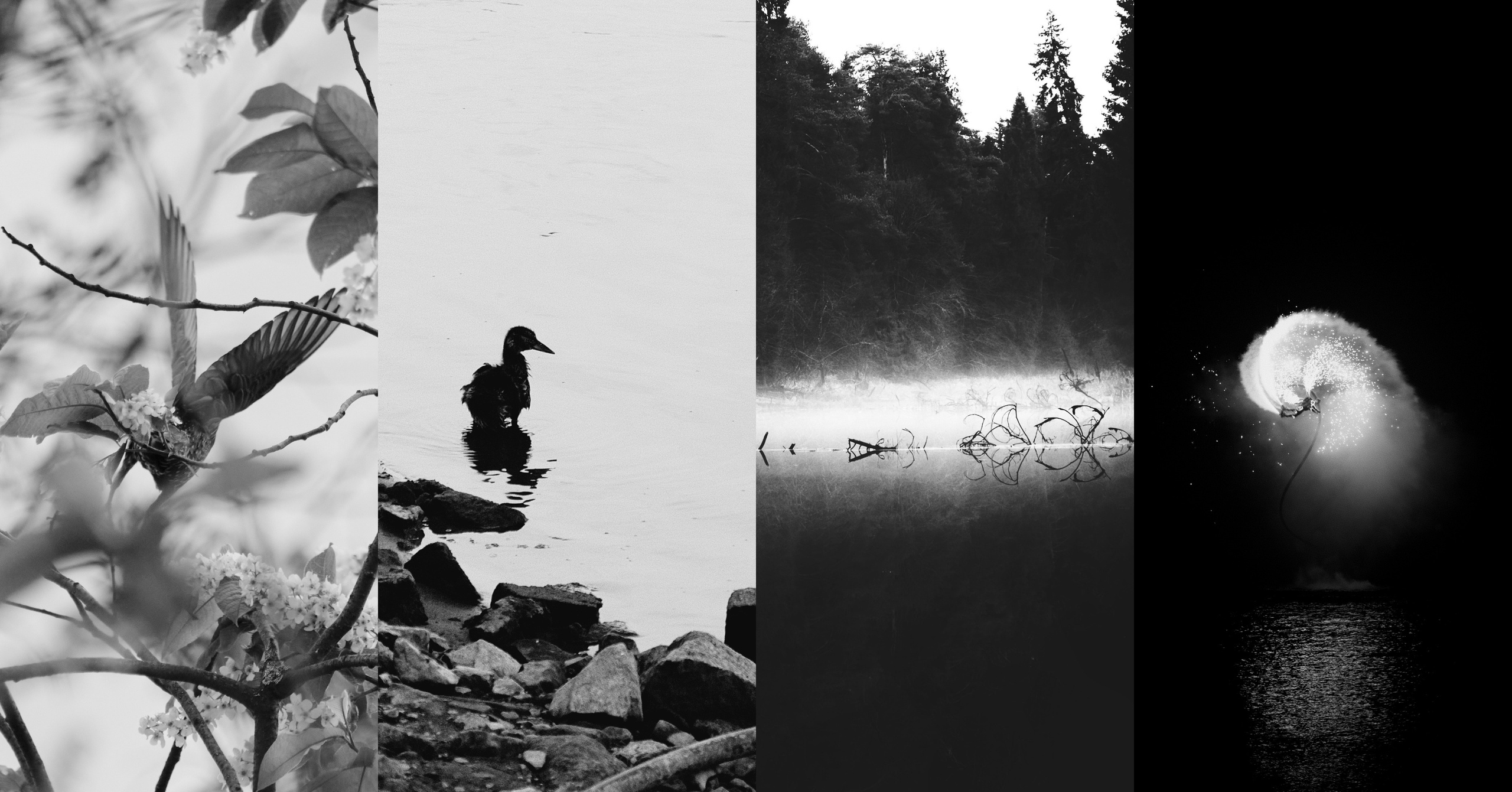 Фотограф-любитель из Кирова Андрей Погребняк